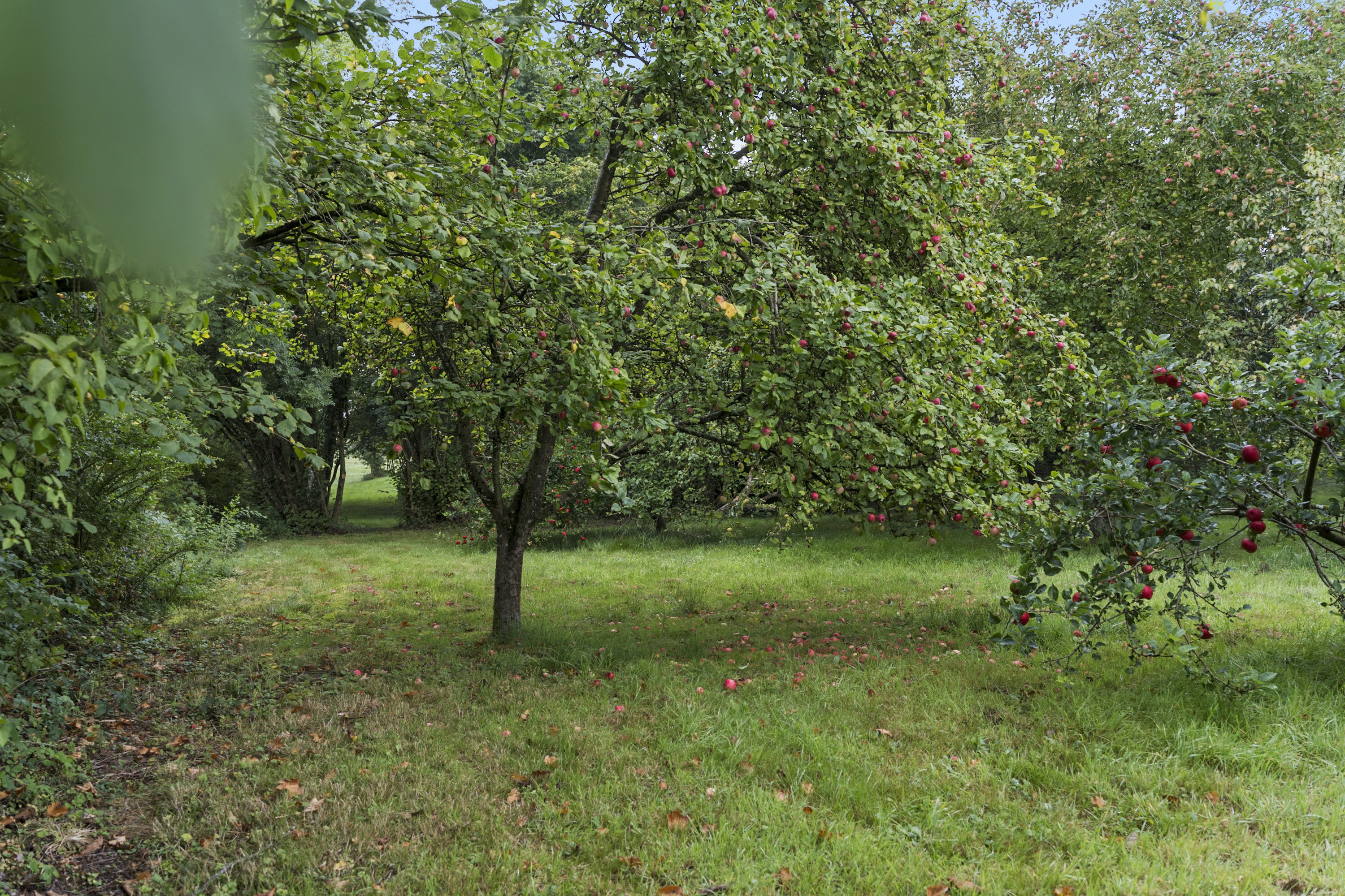 Fremhævet ejendommen billede i fuldskærmstilstand. Billede af Hoptrup Hovedgade 131, Hoptrup, 6100 Haderslev