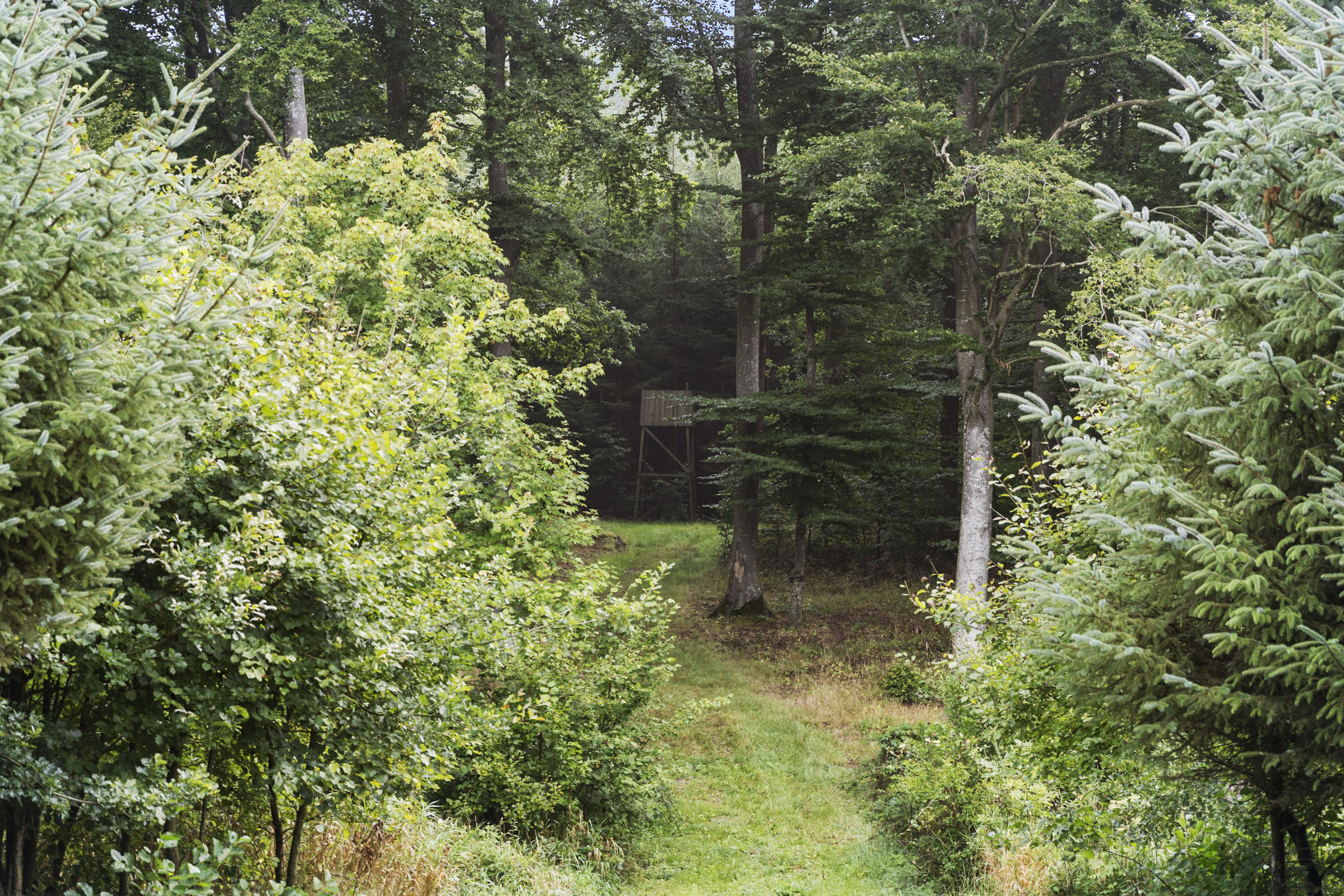 Fremhævet ejendommen billede i fuldskærmstilstand. Billede af Hoptrup Hovedgade 131, Hoptrup, 6100 Haderslev