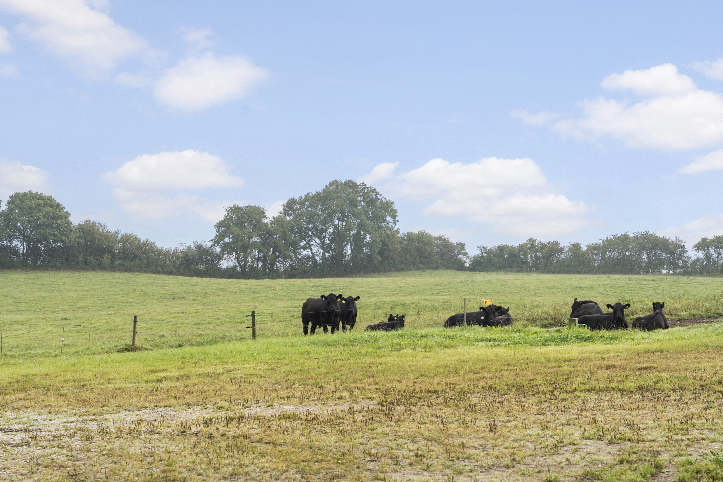 Fremhævet ejendommen billede i fuldskærmstilstand. Billede af Hoptrup Hovedgade 131, Hoptrup, 6100 Haderslev