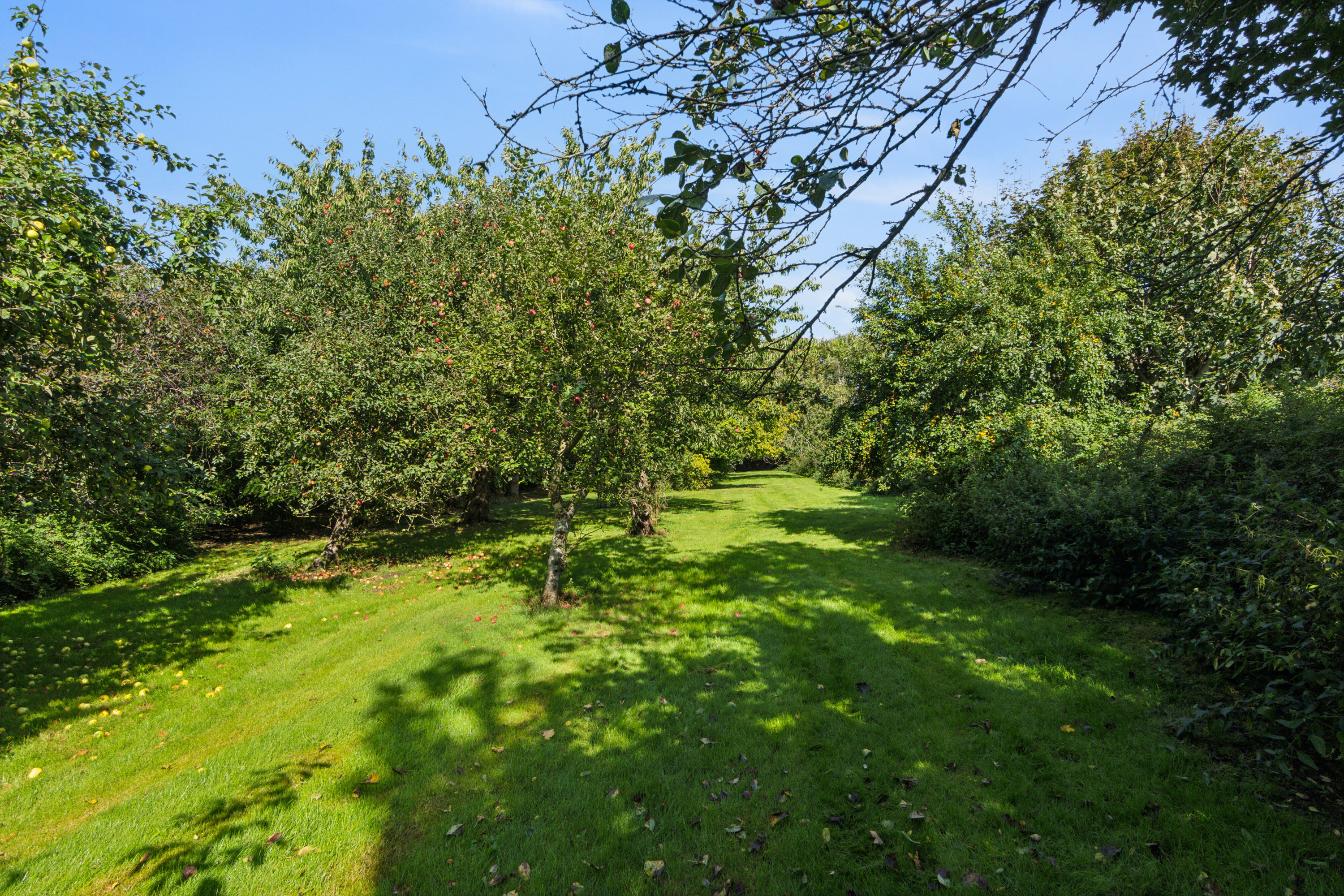 Fremhævet udendørs billede i fuldskærmstilstand. Billede af Frimervej 1, 7742 Vesløs