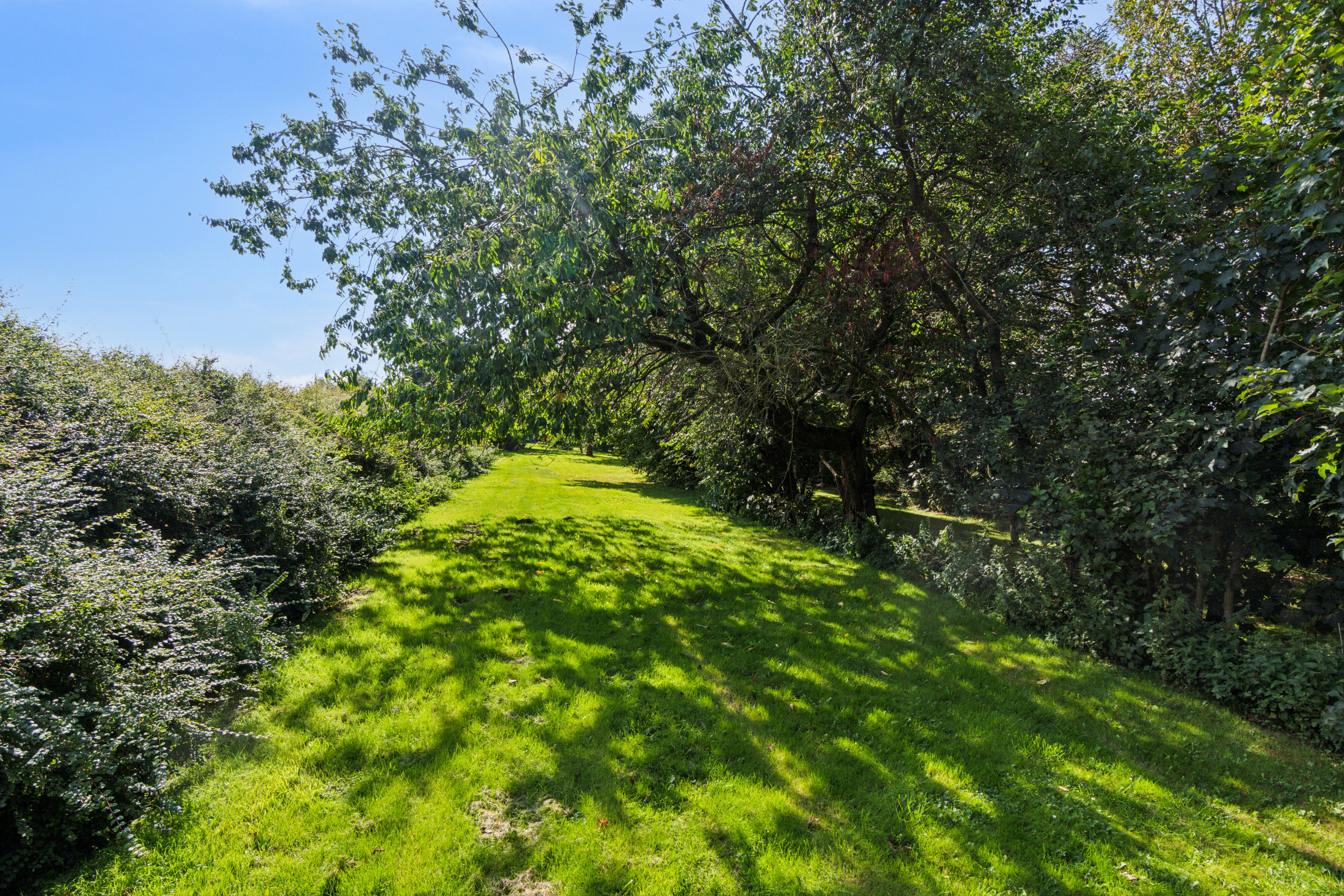 Fremhævet udendørs billede i fuldskærmstilstand. Billede af Frimervej 1, 7742 Vesløs