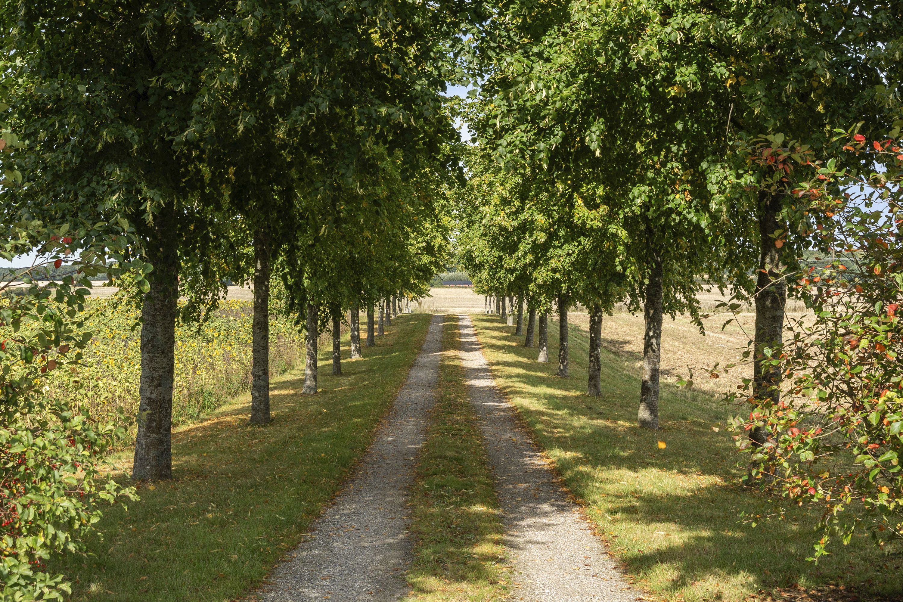 Miniaturebillede 1: område. Billede af Grobshulevej 164, Fensholt, 8300 Odder