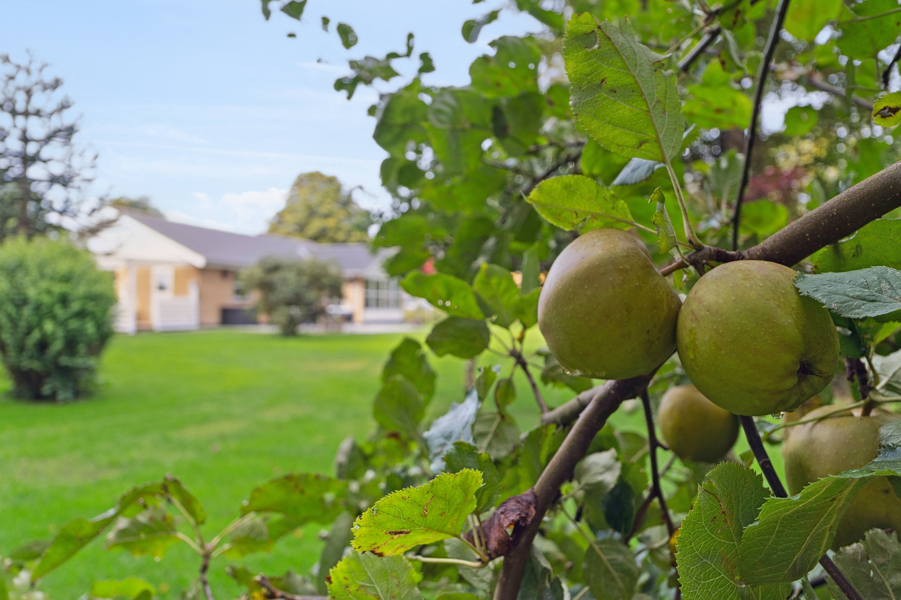 Fremhævet udendørs billede i fuldskærmstilstand. Billede af Melbyvej 53, Melby, 5471 Søndersø