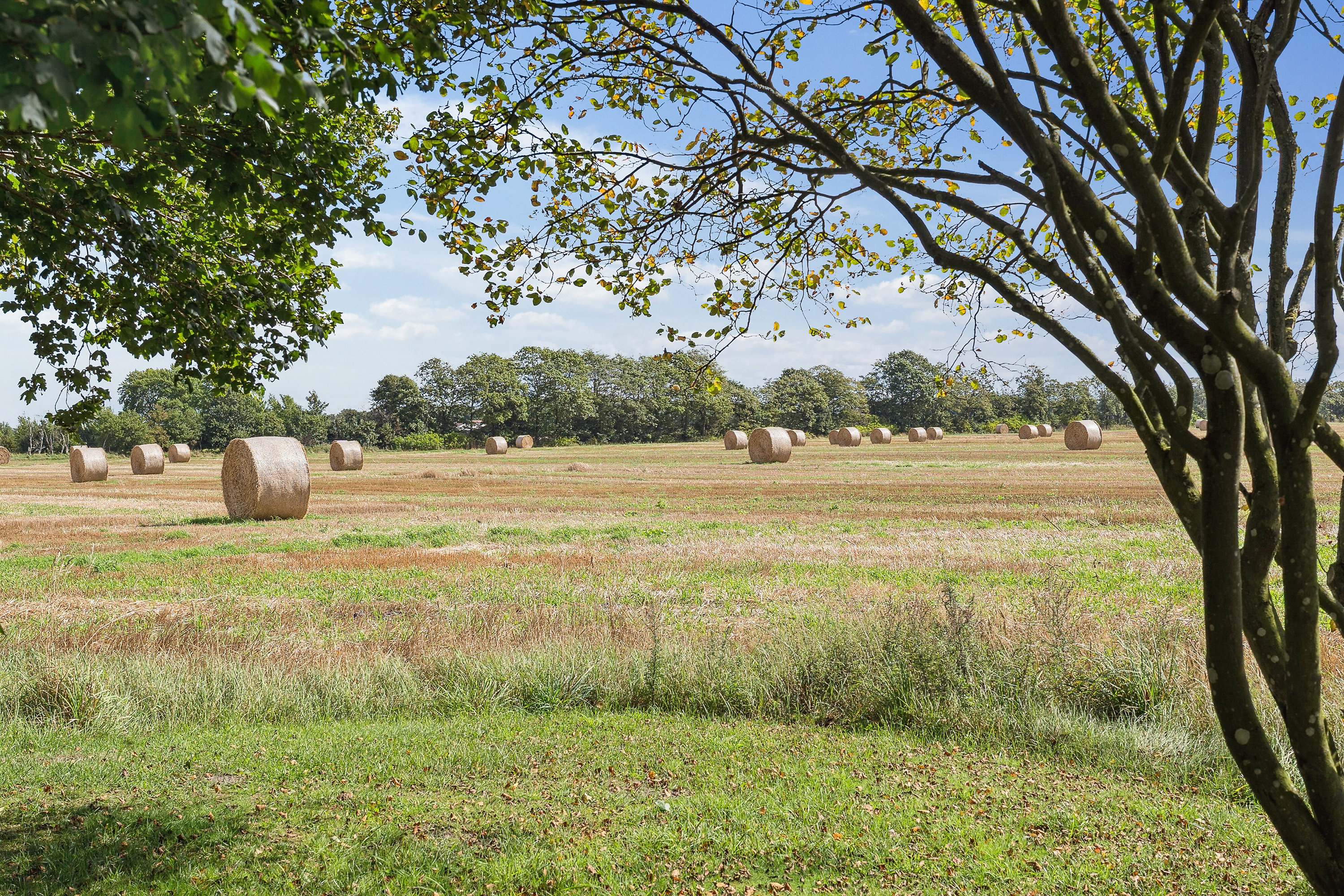 Fremhævet set fra haven billede i fuldskærmstilstand. Billede af Malmkærvej 6, Dyringhave, 7361 Ejstrupholm
