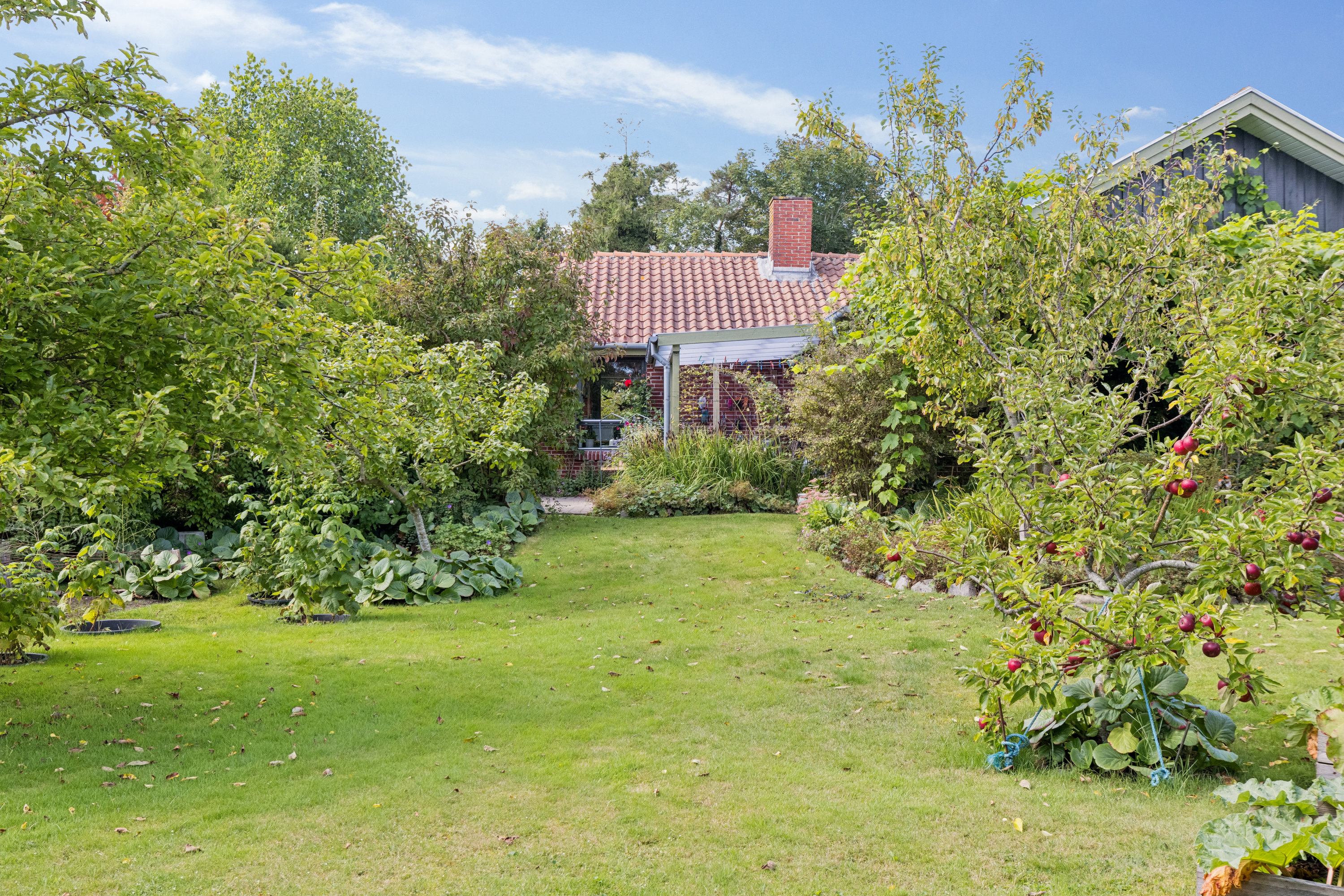 Fremhævet have billede i fuldskærmstilstand. Billede af Vedelsvej 10, 6760 Ribe