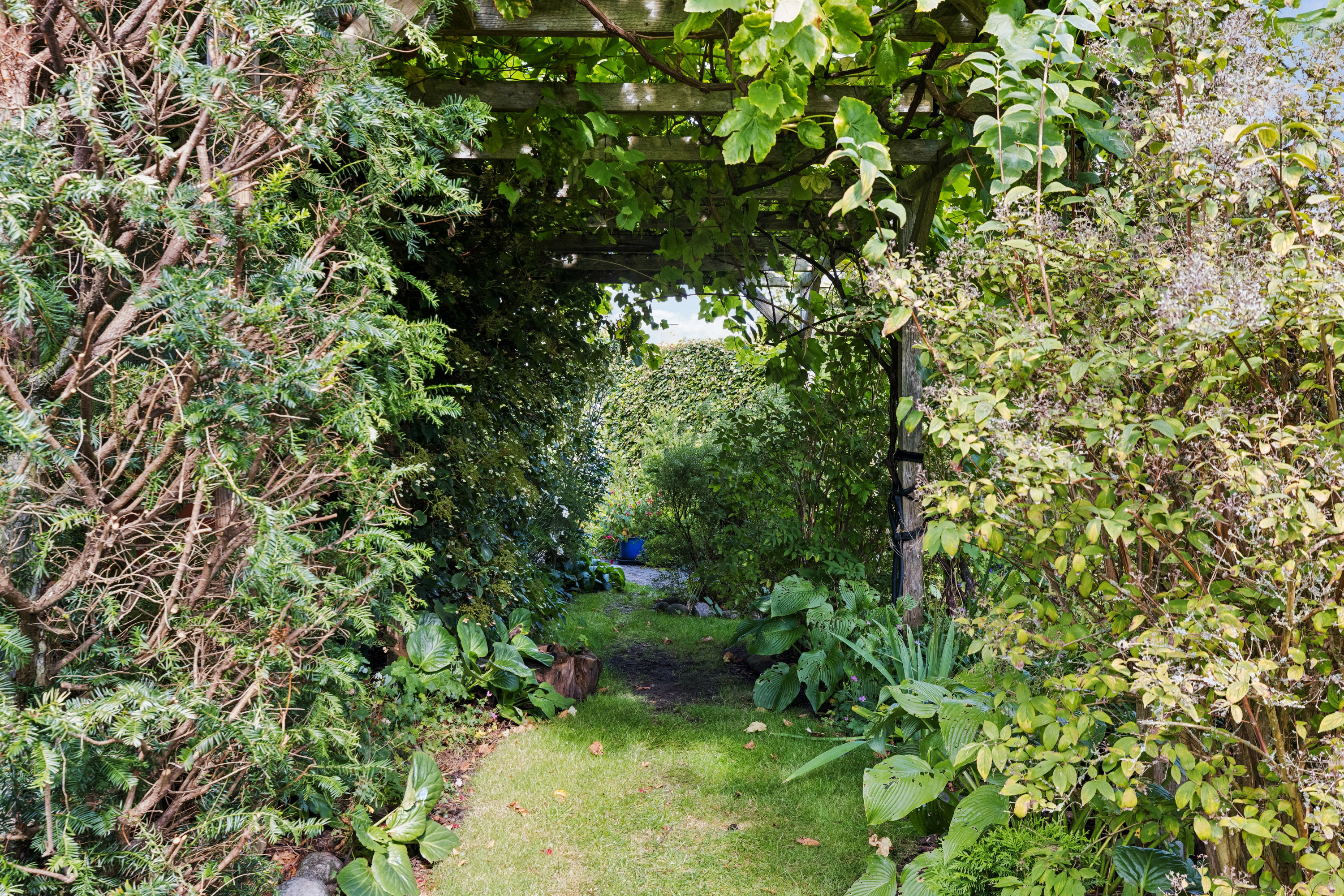 Fremhævet have billede i fuldskærmstilstand. Billede af Vedelsvej 10, 6760 Ribe