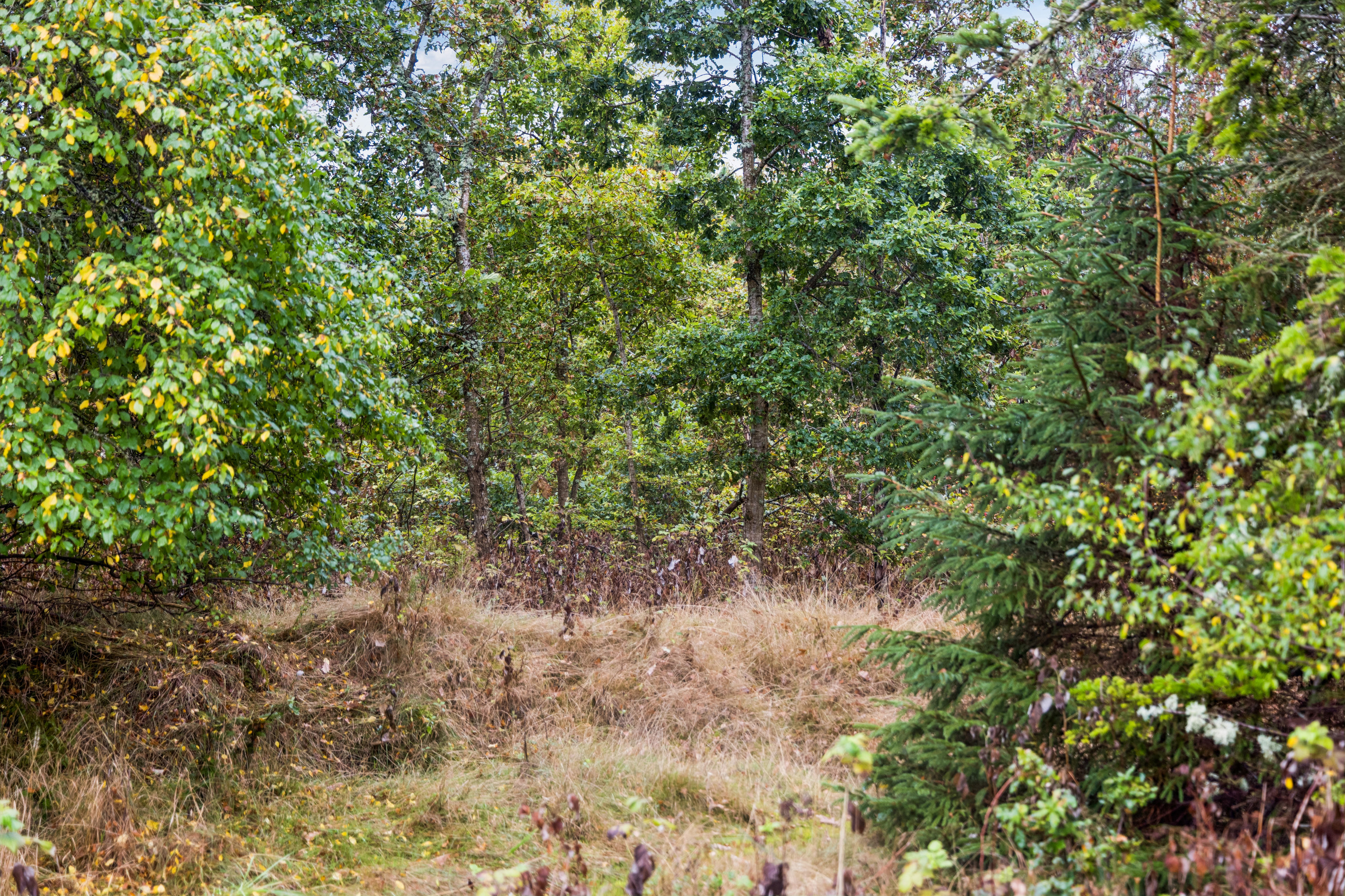Fremhævet have billede i fuldskærmstilstand. Billede af Marsvej 11, 9370 Hals
