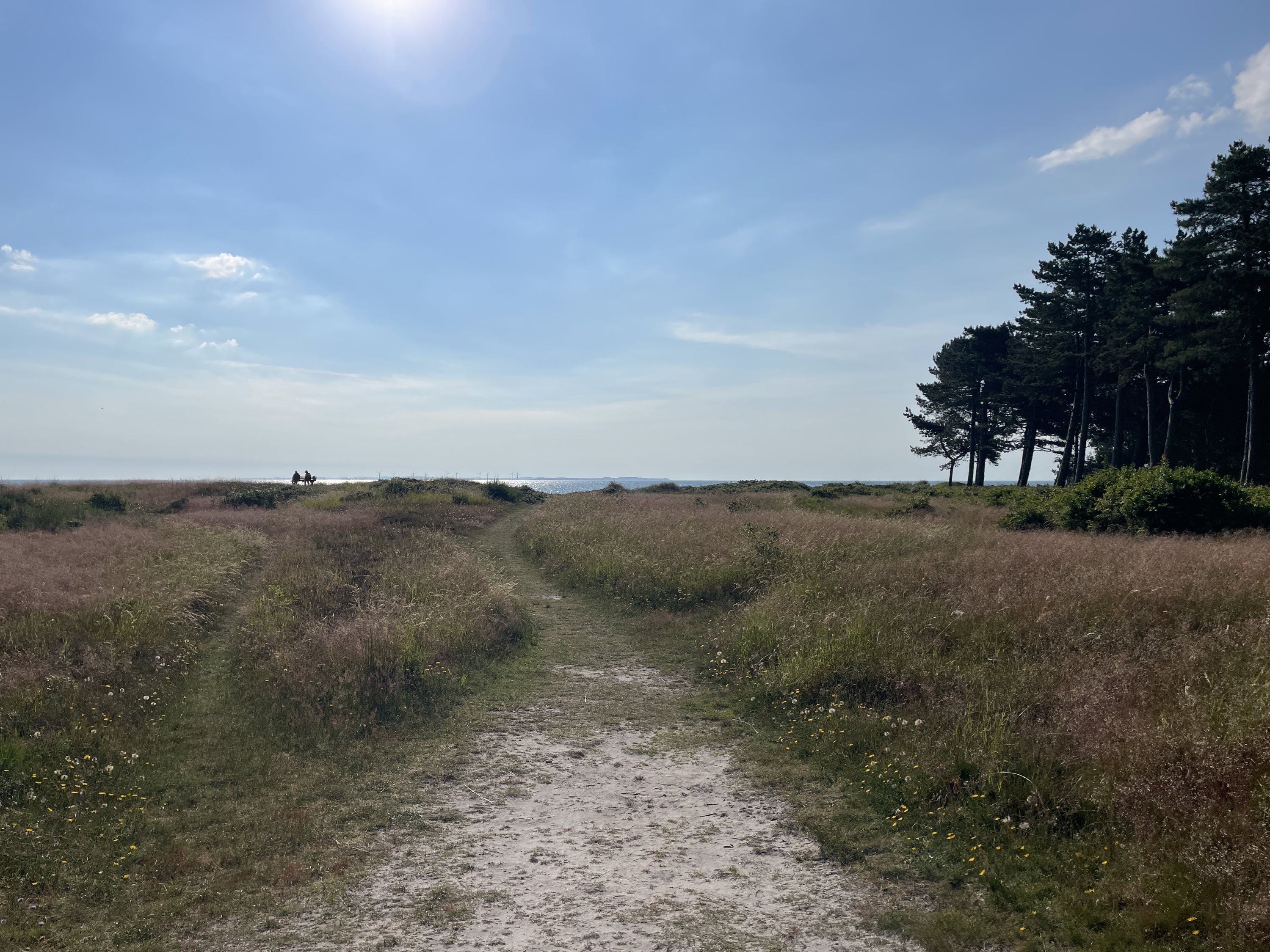 Fremhævet  billede i fuldskærmstilstand. Billede af Saksild Strandfælled 5, Saksild Strand, 8300 Odder
