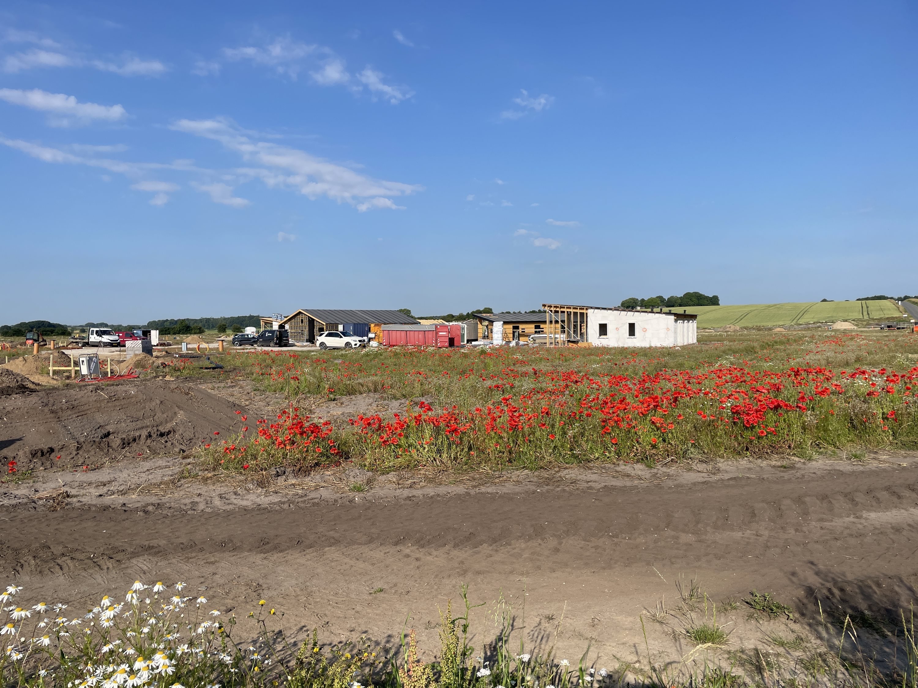 Fremhævet  billede i fuldskærmstilstand. Billede af Saksild Strandfælled 5, Saksild Strand, 8300 Odder