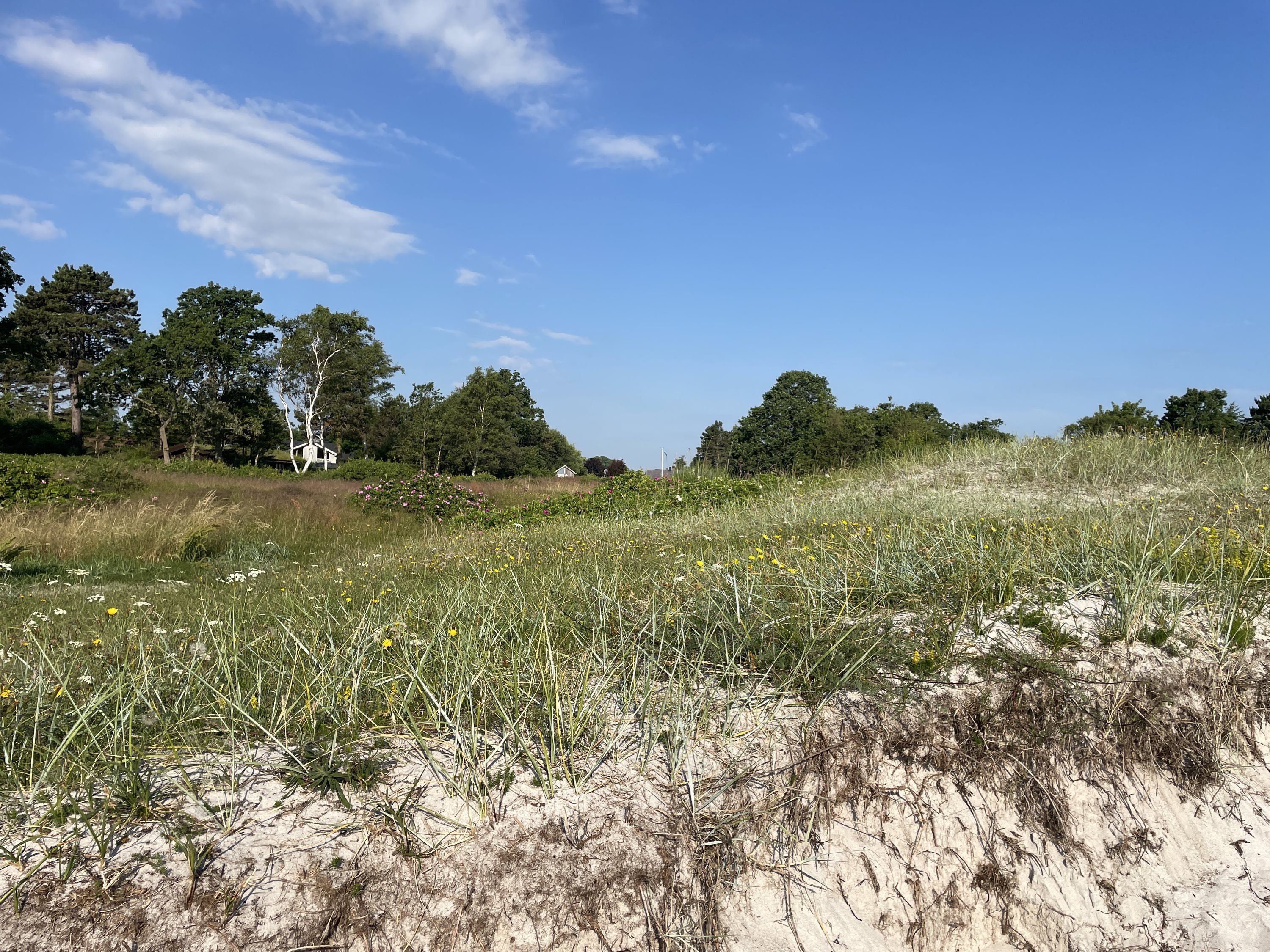 Fremhævet  billede i fuldskærmstilstand. Billede af Saksild Strandfælled 5, Saksild Strand, 8300 Odder