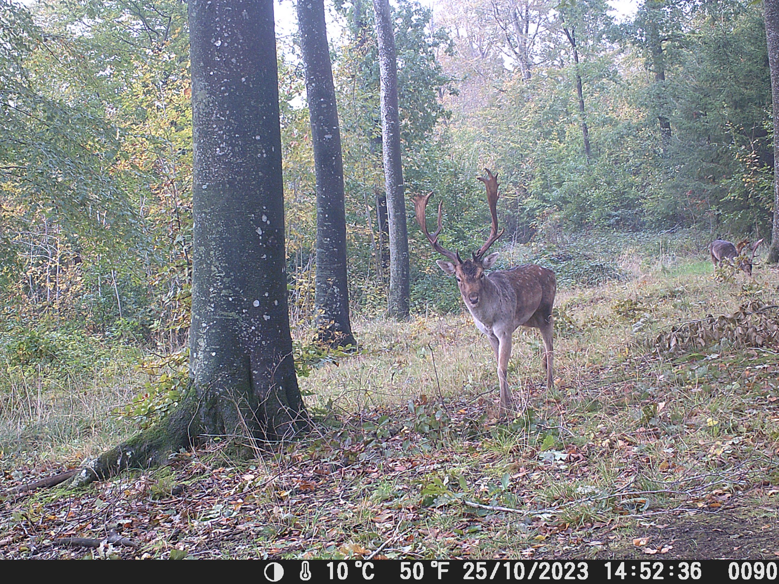 Fremhævet  billede i fuldskærmstilstand. Billede af Hoptrup Hovedgade 131, Hoptrup, 6100 Haderslev