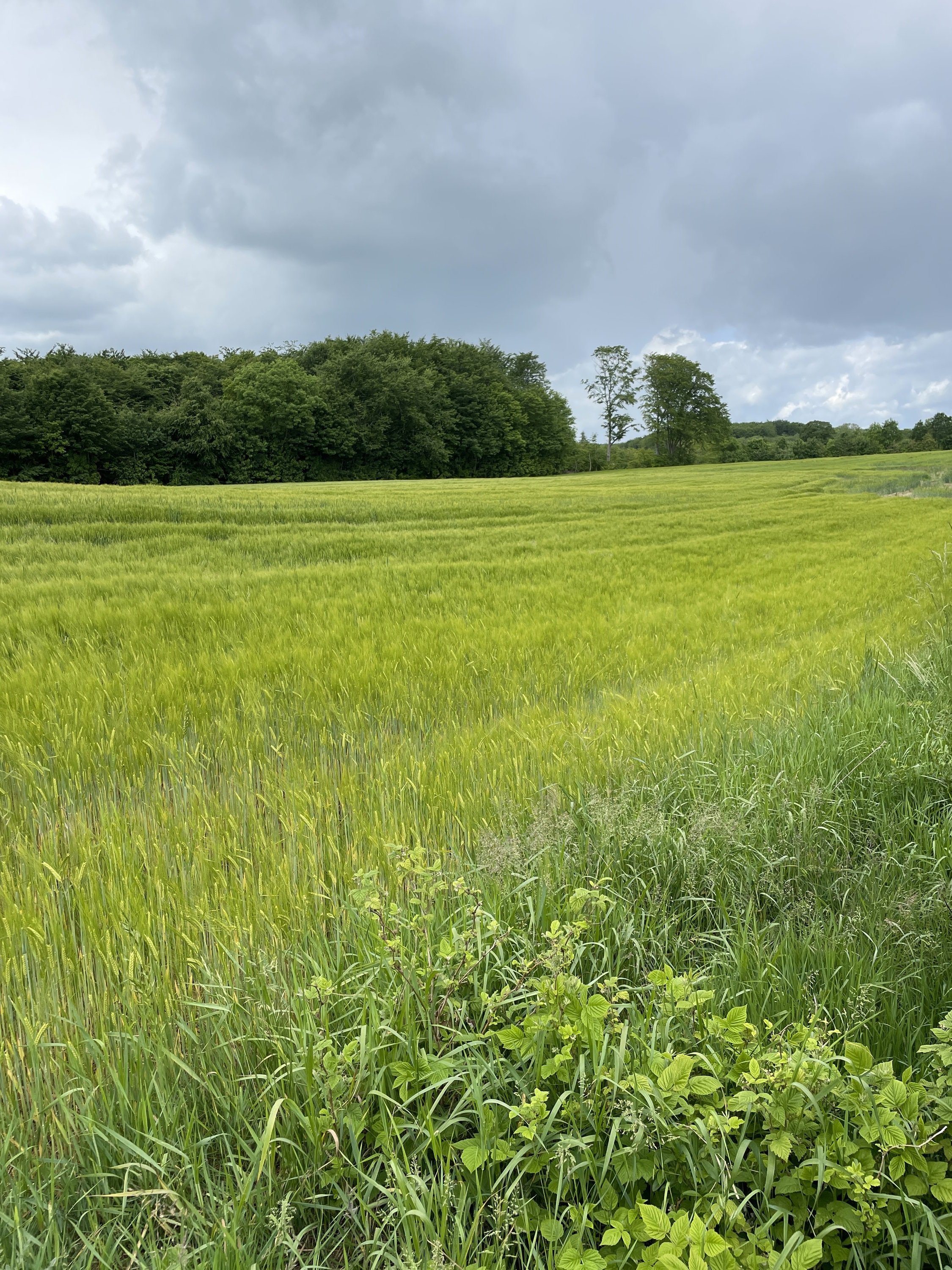 Miniaturebillede 2: . Billede af Snærildvej 49, 8300 Odder