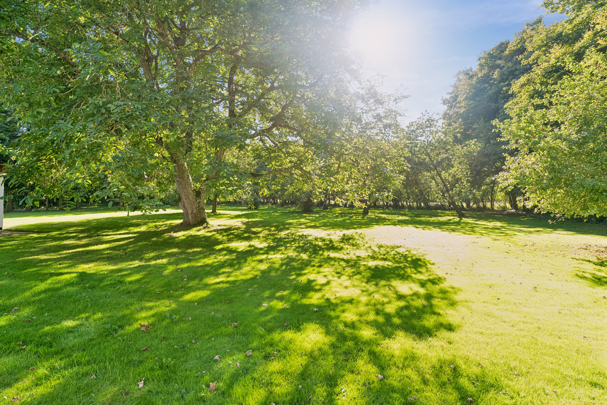 Fremhævet have billede i fuldskærmstilstand. Billede af Bavnevej 140, Tvede, 8930 Randers NØ