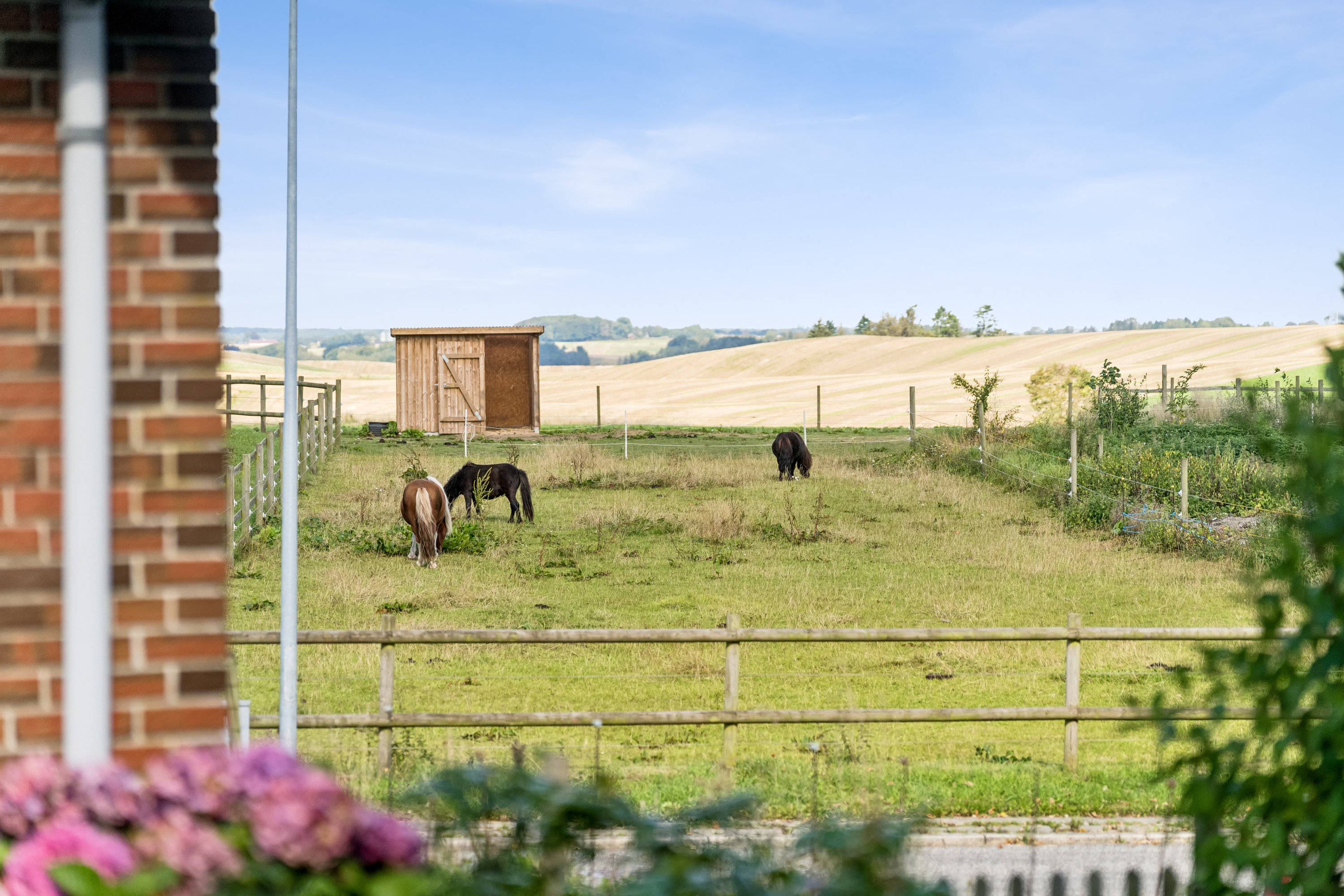 Miniaturebillede 2: have. Billede af Nørregade 16, Vellev, 8860 Ulstrup