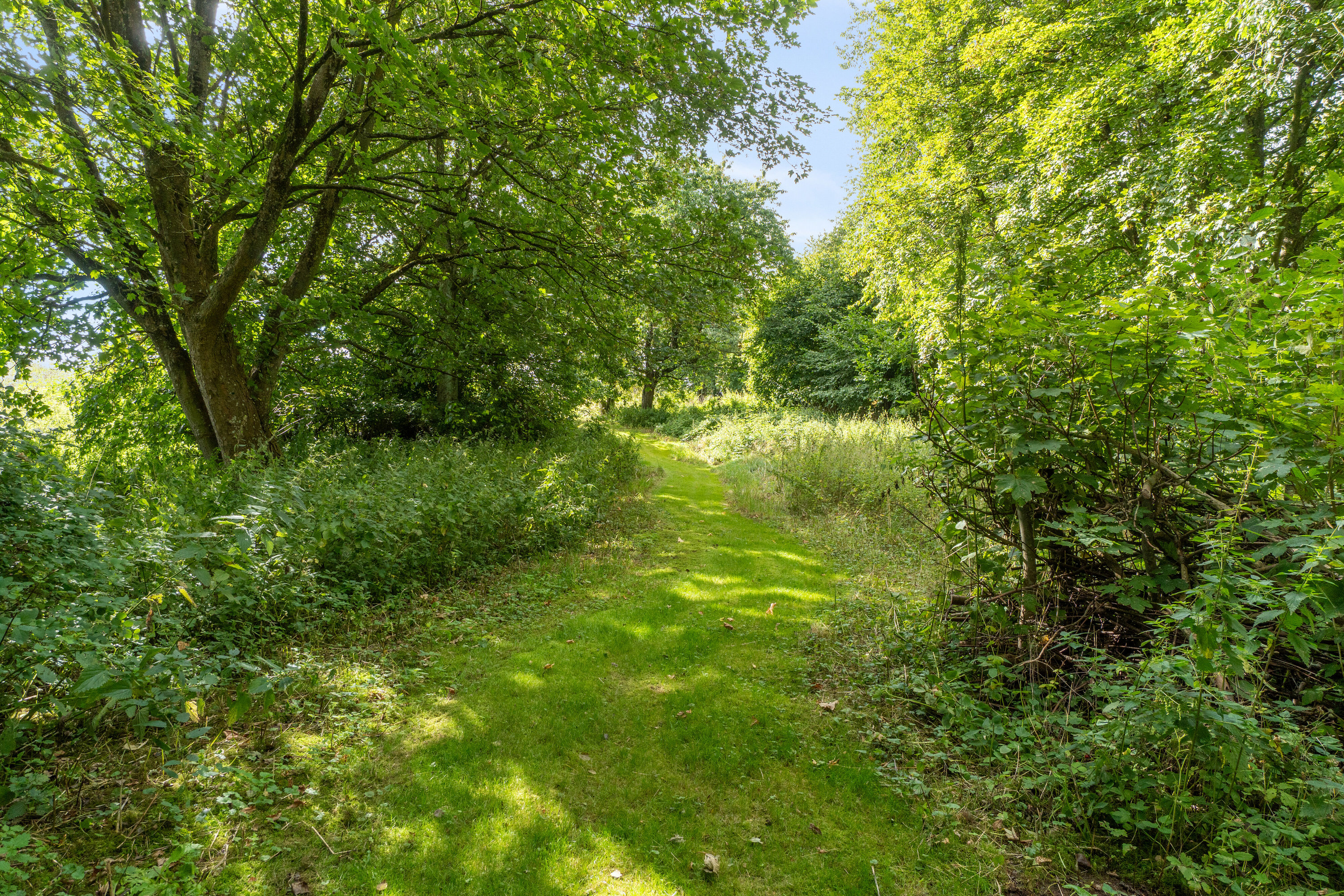 Fremhævet have billede i fuldskærmstilstand. Billede af Højgårdsvej 41, Eskilstrup, 4683 Rønnede