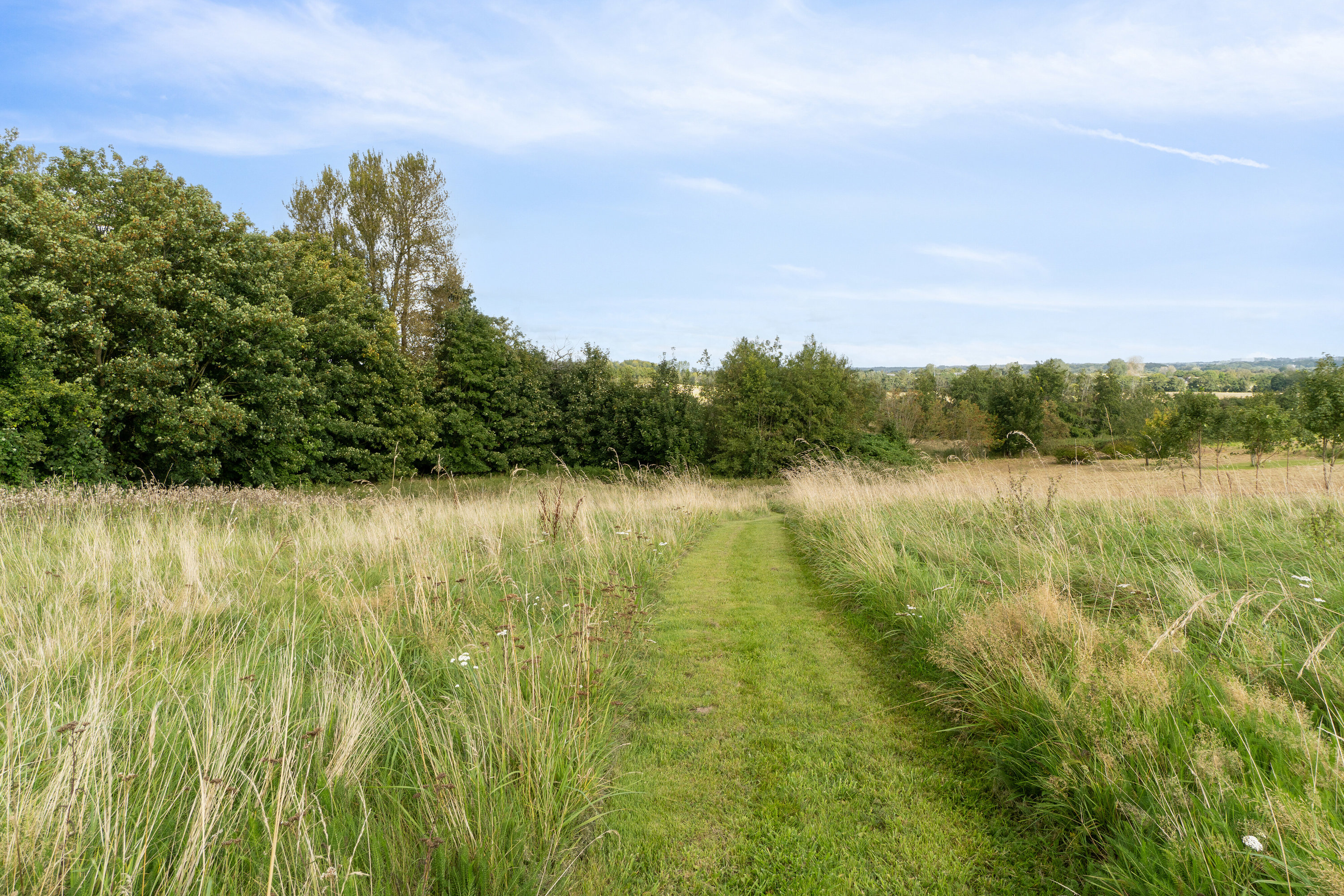 Fremhævet have billede i fuldskærmstilstand. Billede af Højgårdsvej 41, Eskilstrup, 4683 Rønnede