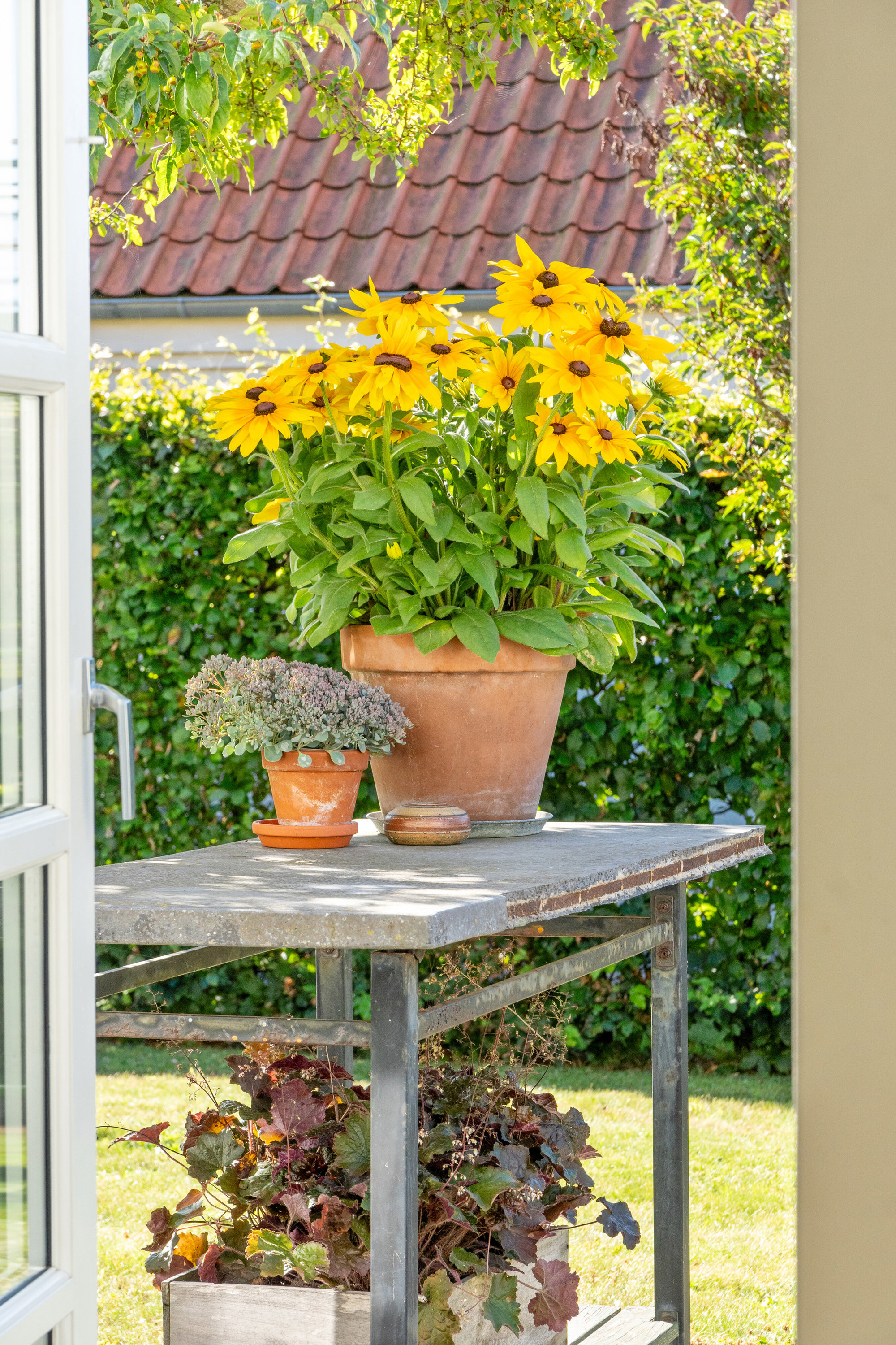 Fremhævet udsigt billede i fuldskærmstilstand. Billede af Vædderen 30, Egense, 5700 Svendborg