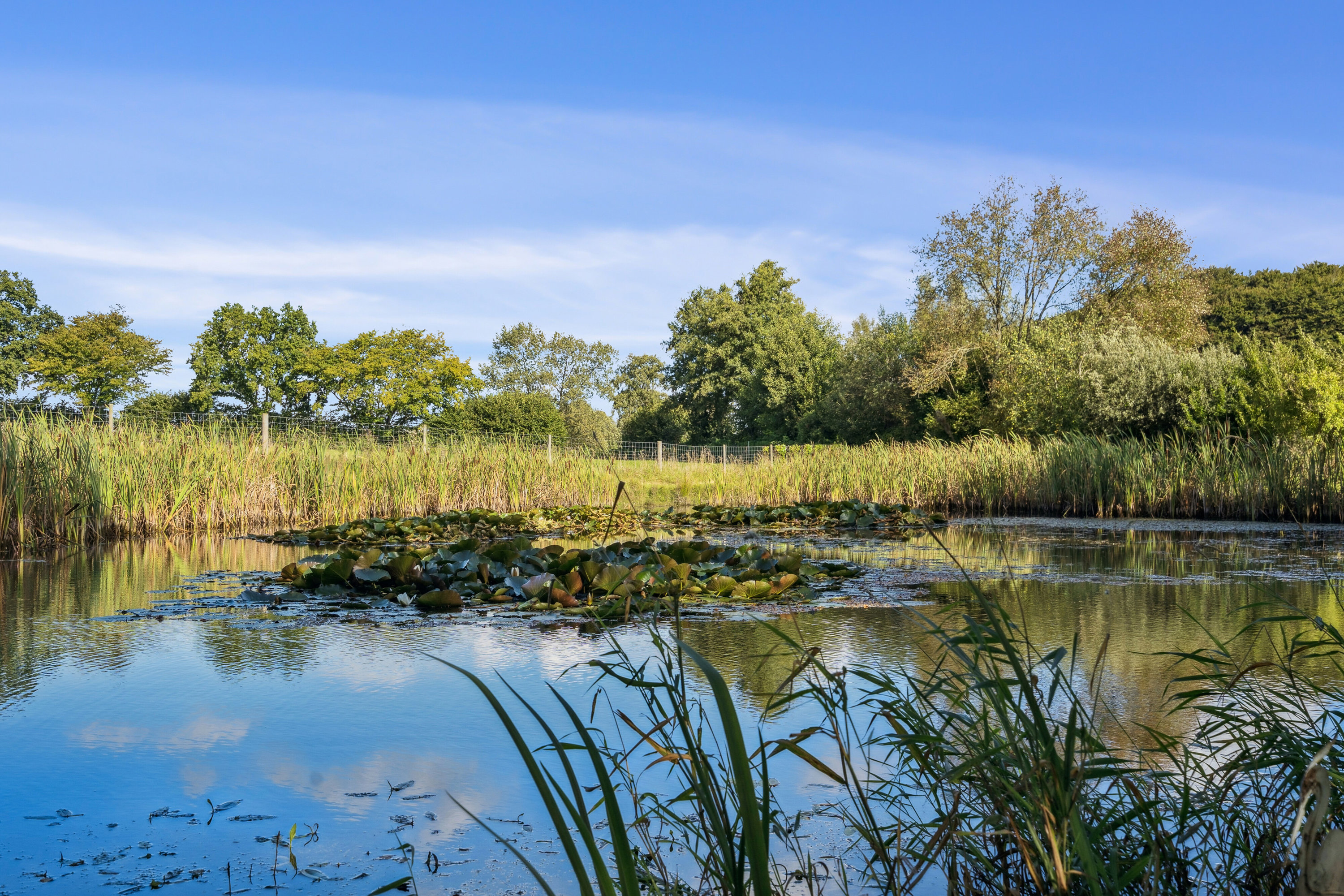 Fremhævet omgivelser billede i fuldskærmstilstand. Billede af Rudmevej 132A, Rudme, 5750 Ringe
