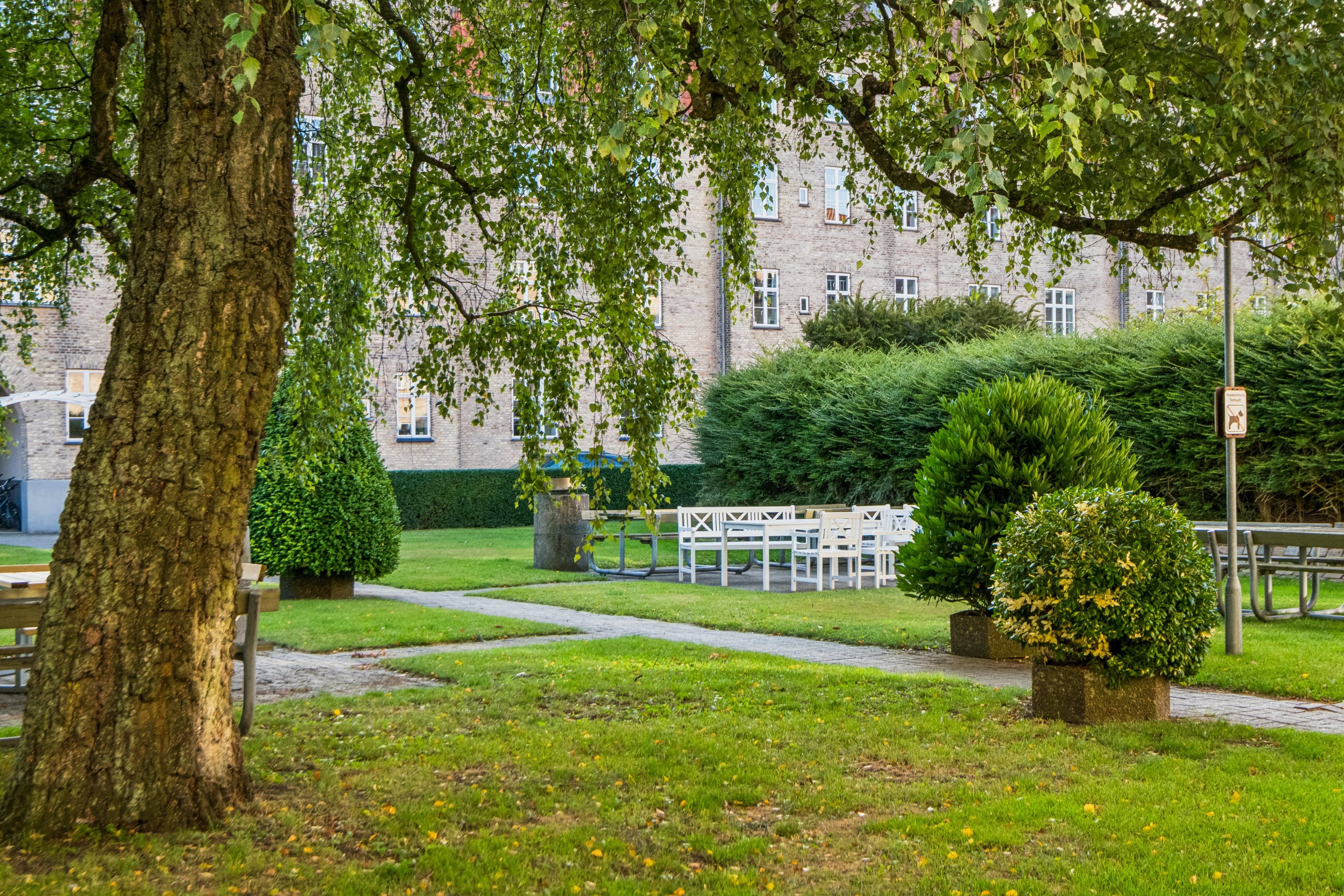 Fremhævet have billede i fuldskærmstilstand. Billede af Islandsgade 5, 2. th., 9000 Aalborg