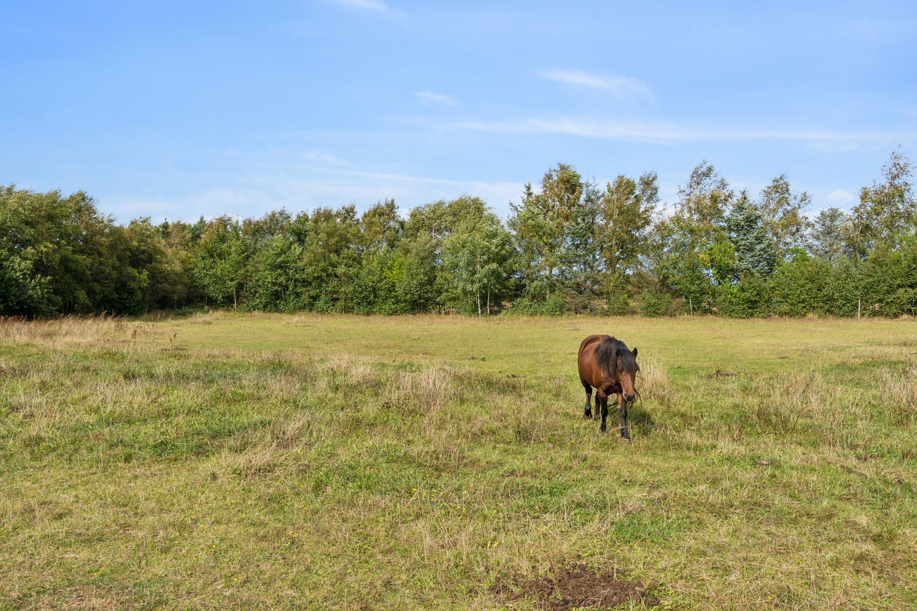 Fremhævet udendørs billede i fuldskærmstilstand. Billede af Stokholmvej 146, 9870 Sindal