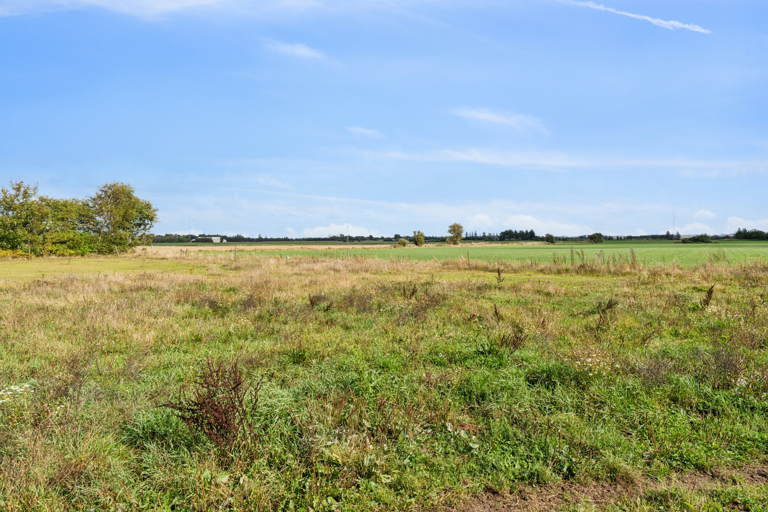 Fremhævet udendørs billede i fuldskærmstilstand. Billede af Stokholmvej 146, 9870 Sindal