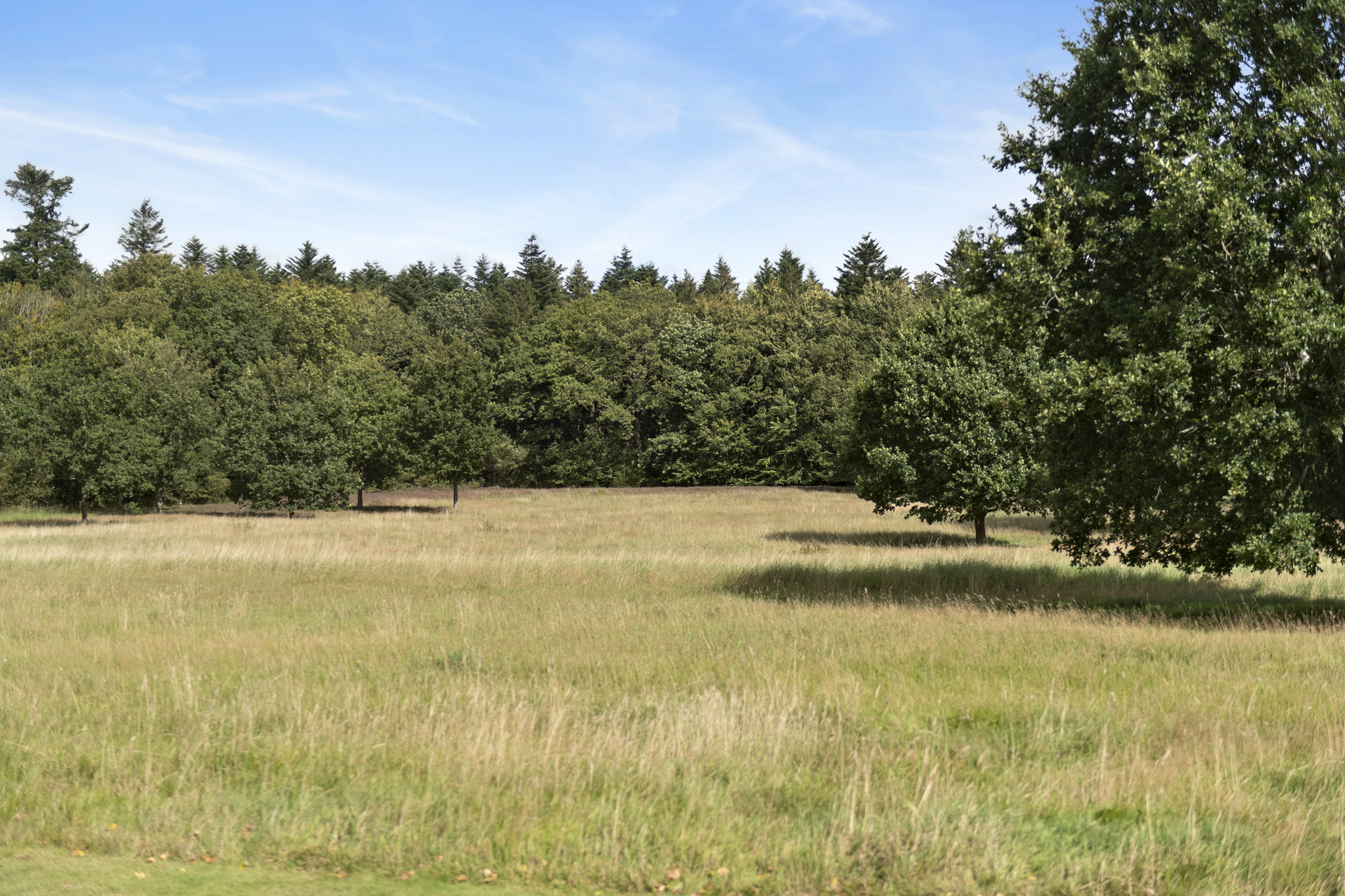 Fremhævet ejendommen billede i fuldskærmstilstand. Billede af Lundvej 139, 6800 Varde