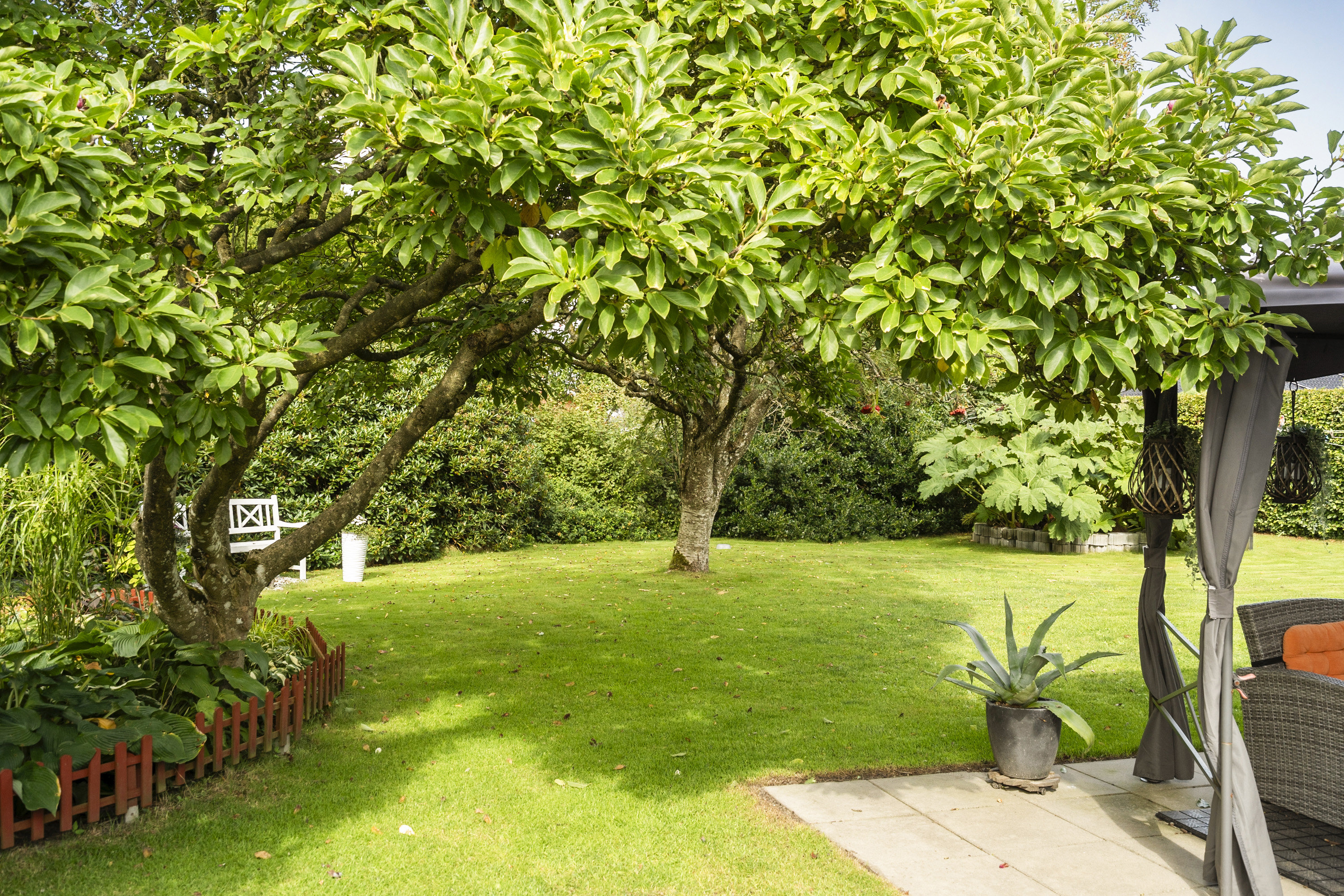 Fremhævet område billede i fuldskærmstilstand. Billede af Bøgevej 3, 6862 Tistrup