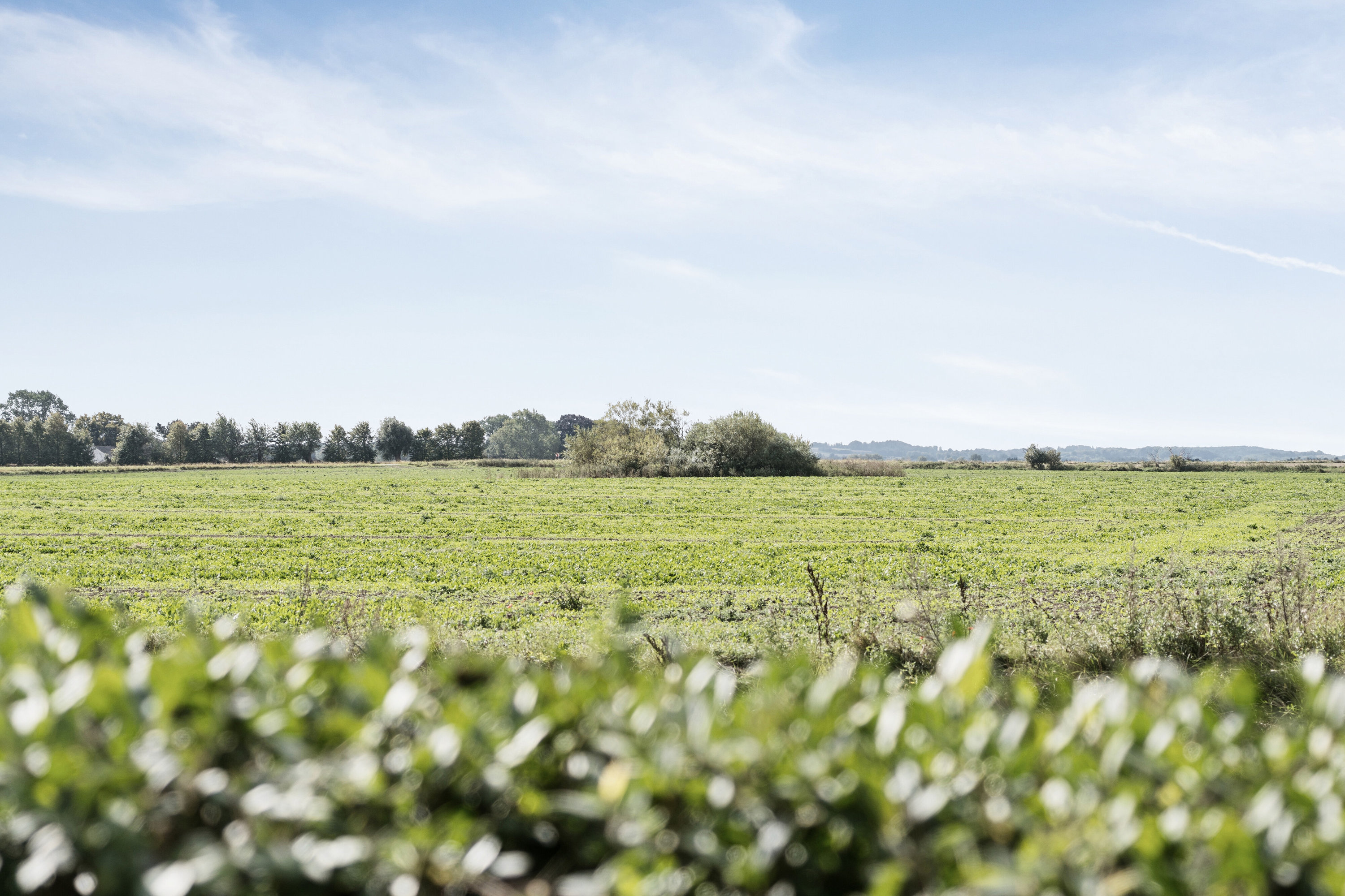 Miniaturebillede 1: udendørs. Billede af Landevejen 79, Tuse, 4532 Gislinge