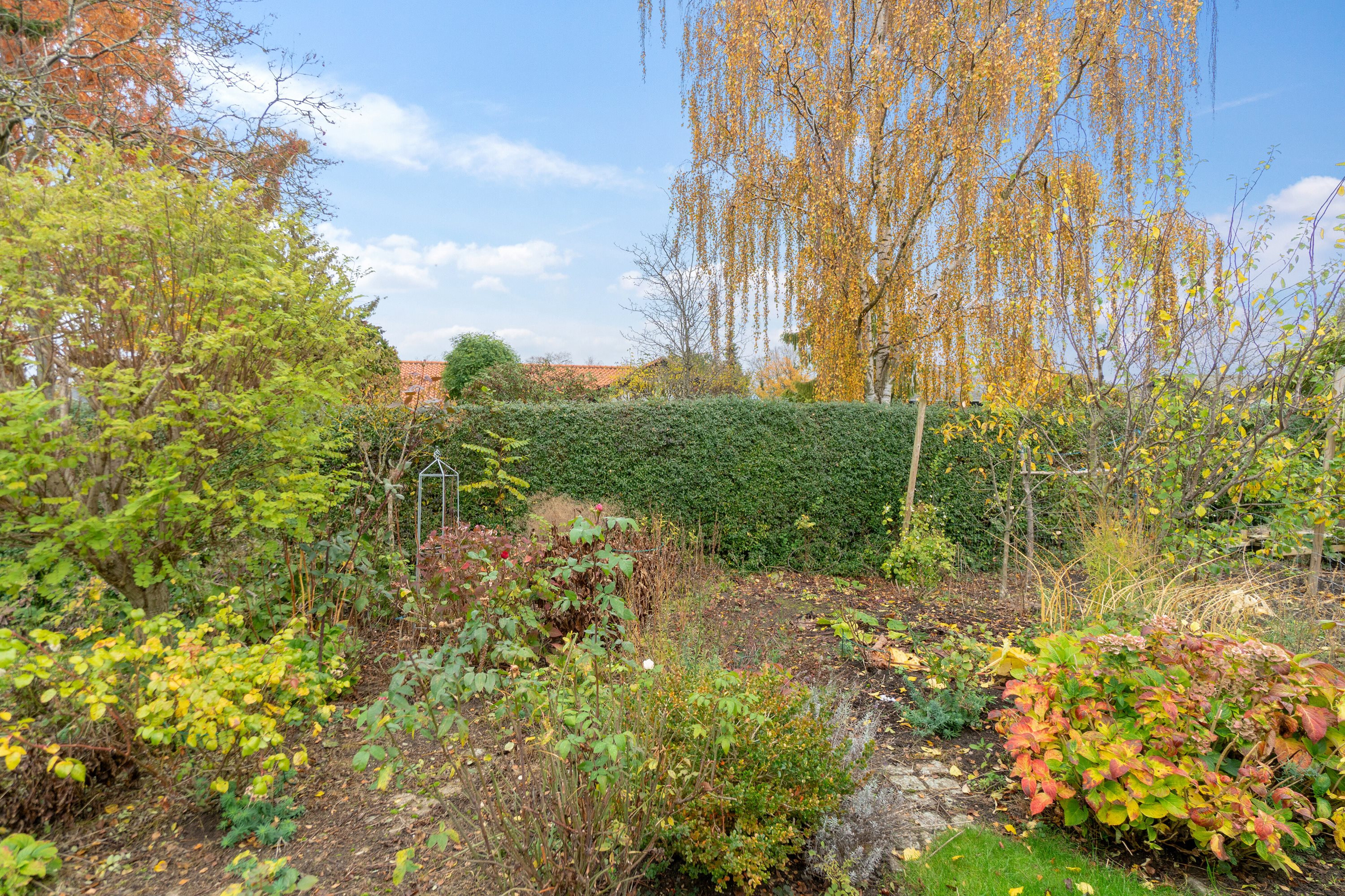 Fremhævet set fra haven billede i fuldskærmstilstand. Billede af Georg Brandes Vej 17, 4700 Næstved