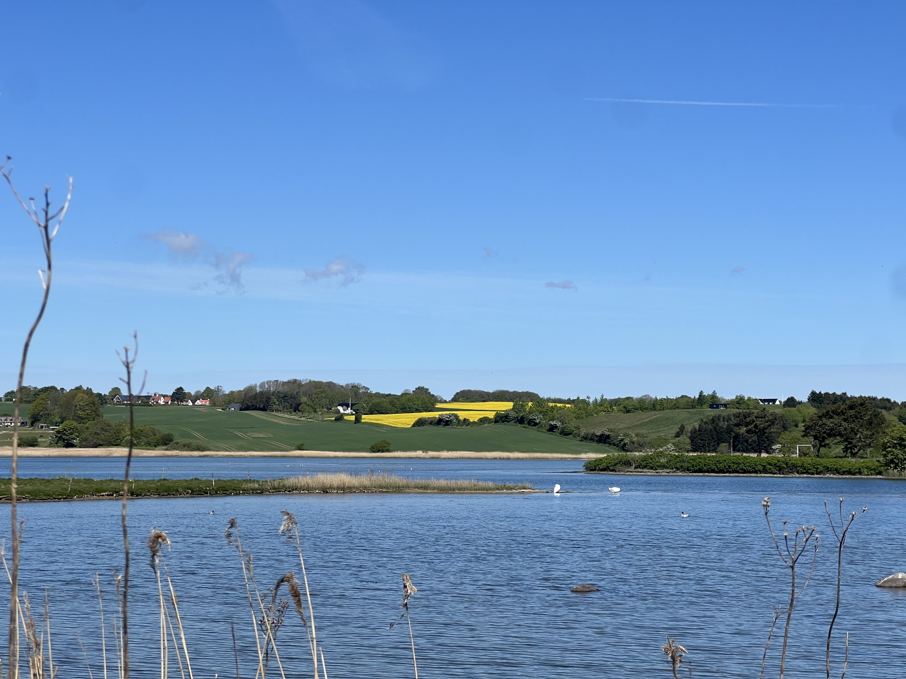 Fremhævet  billede i fuldskærmstilstand. Billede af Gl Krovej 25A, Norsminde, 8300 Odder