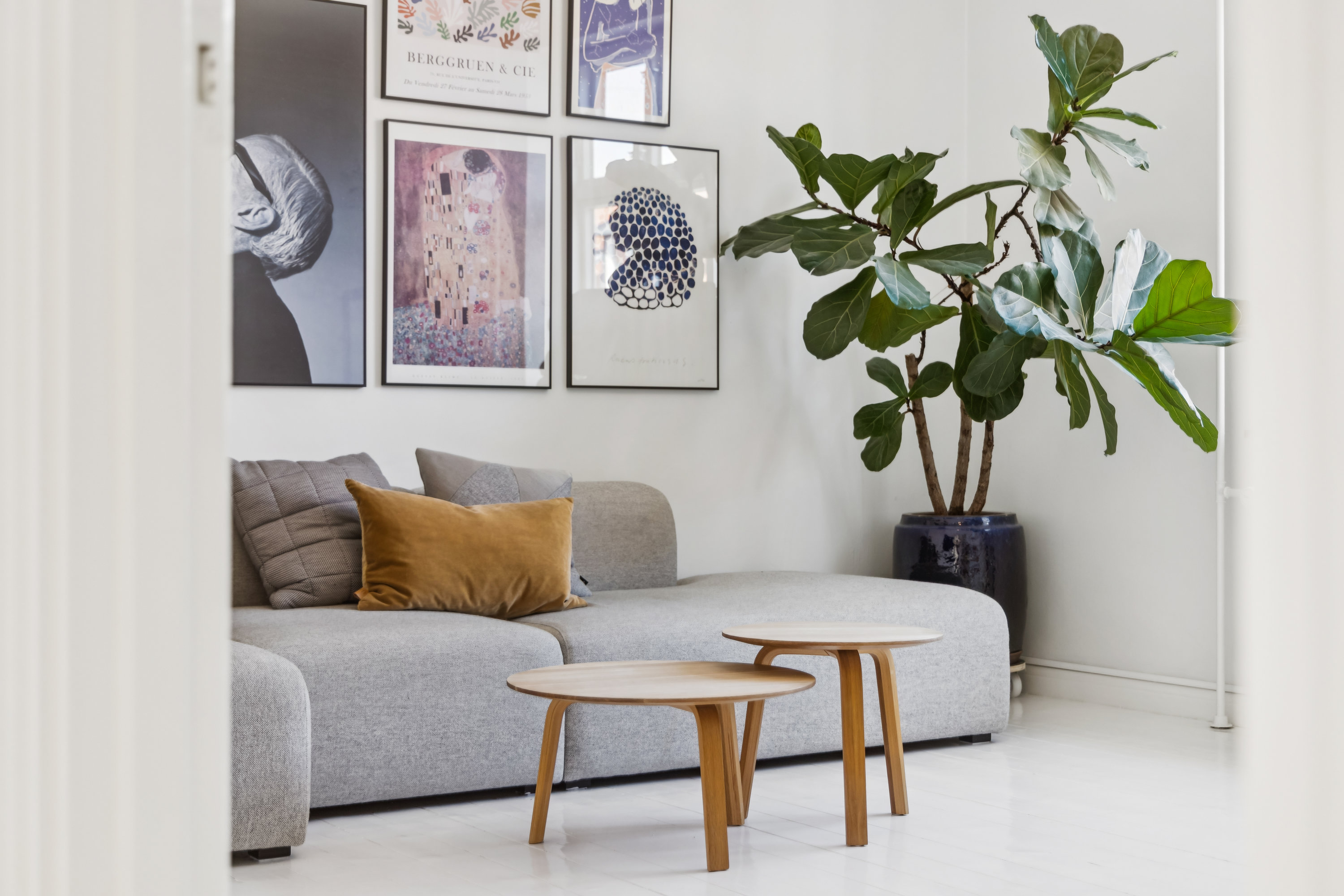 Fremhævet værelse billede i fuldskærmstilstand. Billede af Møensgade 2, 1. th., 9000 Aalborg