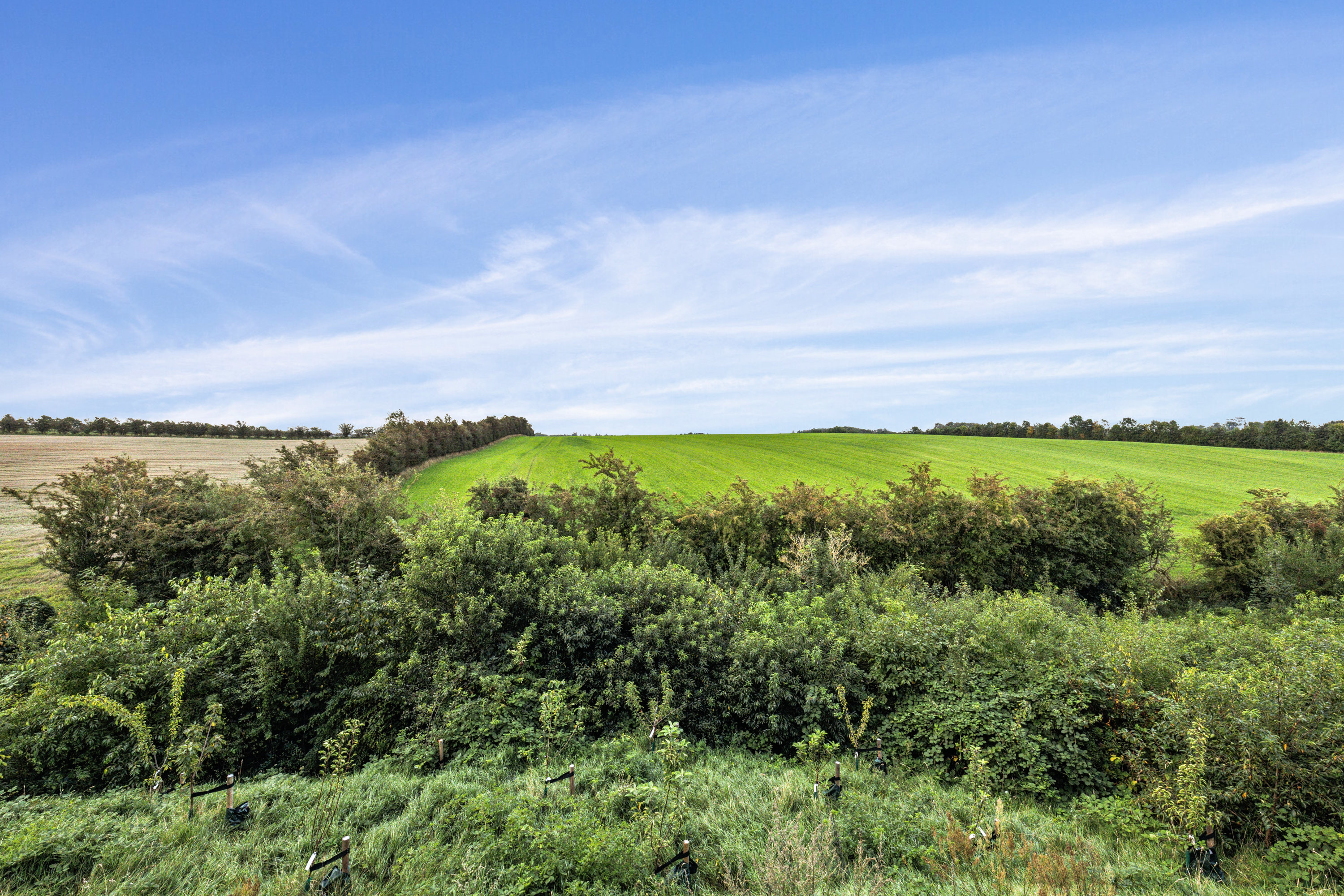 Fremhævet udsigt billede i fuldskærmstilstand. Billede af Fjorddalen 22, Hjarbæk, 8831 Løgstrup