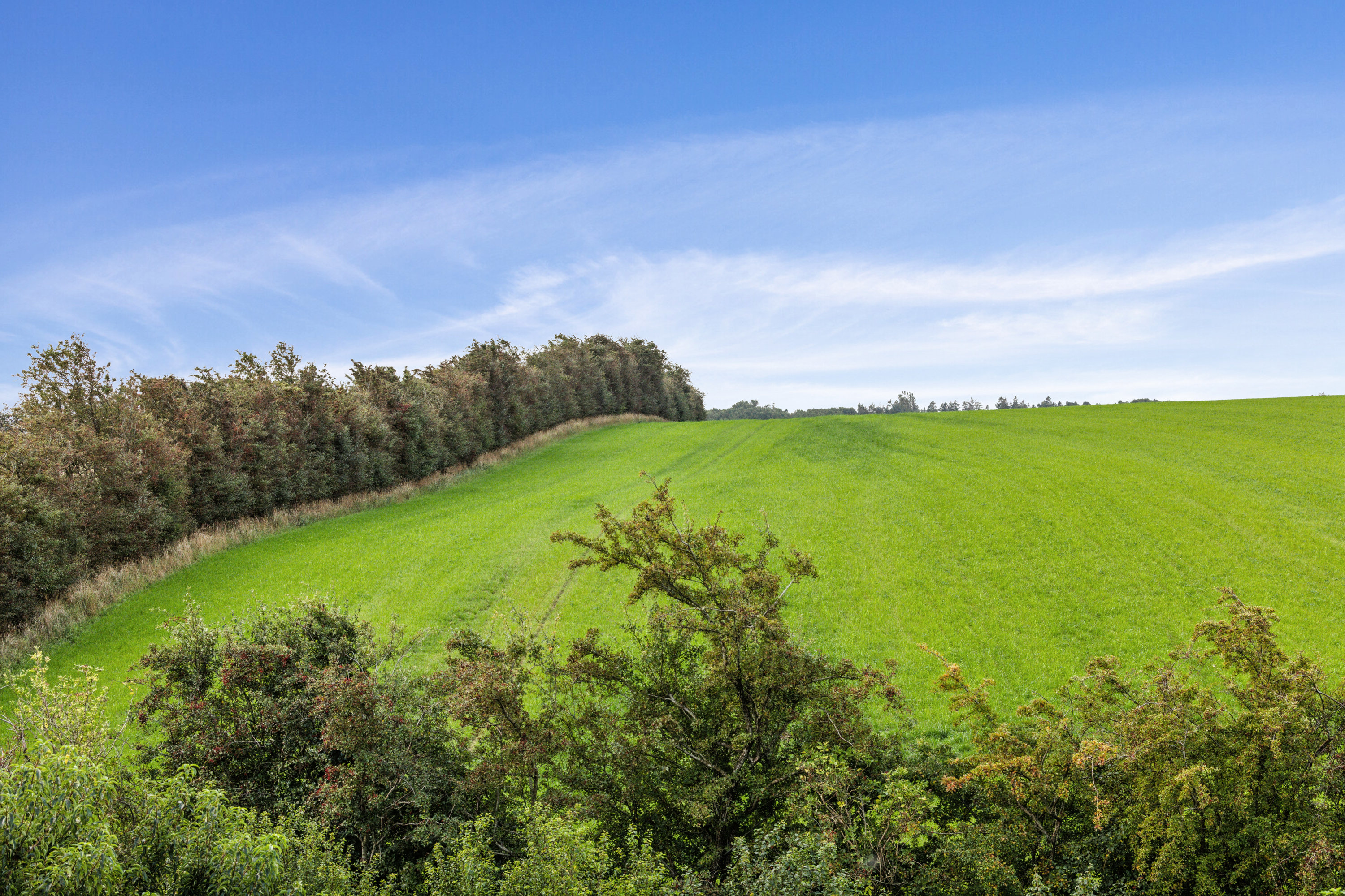 Fremhævet område billede i fuldskærmstilstand. Billede af Fjorddalen 22, Hjarbæk, 8831 Løgstrup