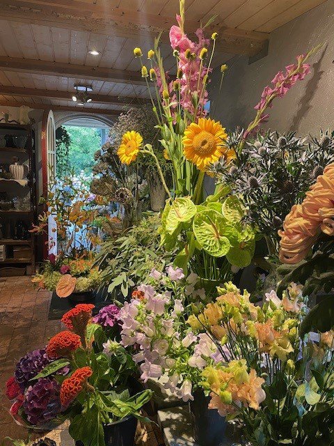 Fremhævet  billede i fuldskærmstilstand. Billede af Gurrevej 318, Gurre, 3000 Helsingør