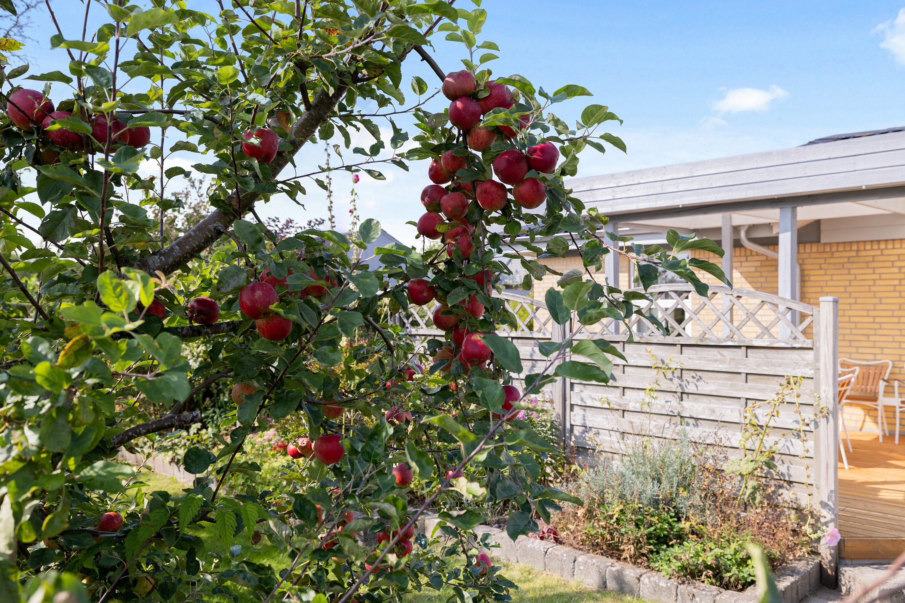 Fremhævet  billede i fuldskærmstilstand. Billede af Tinbækparken 35, Skovby, 8464 Galten