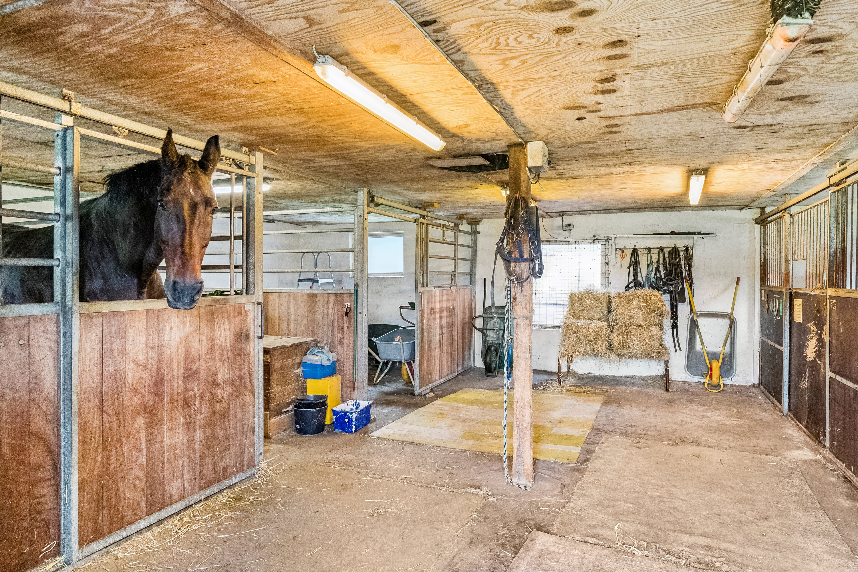 Fremhævet stald billede i fuldskærmstilstand. Billede af Tørvevej 34, Sdr Farup M, 6760 Ribe