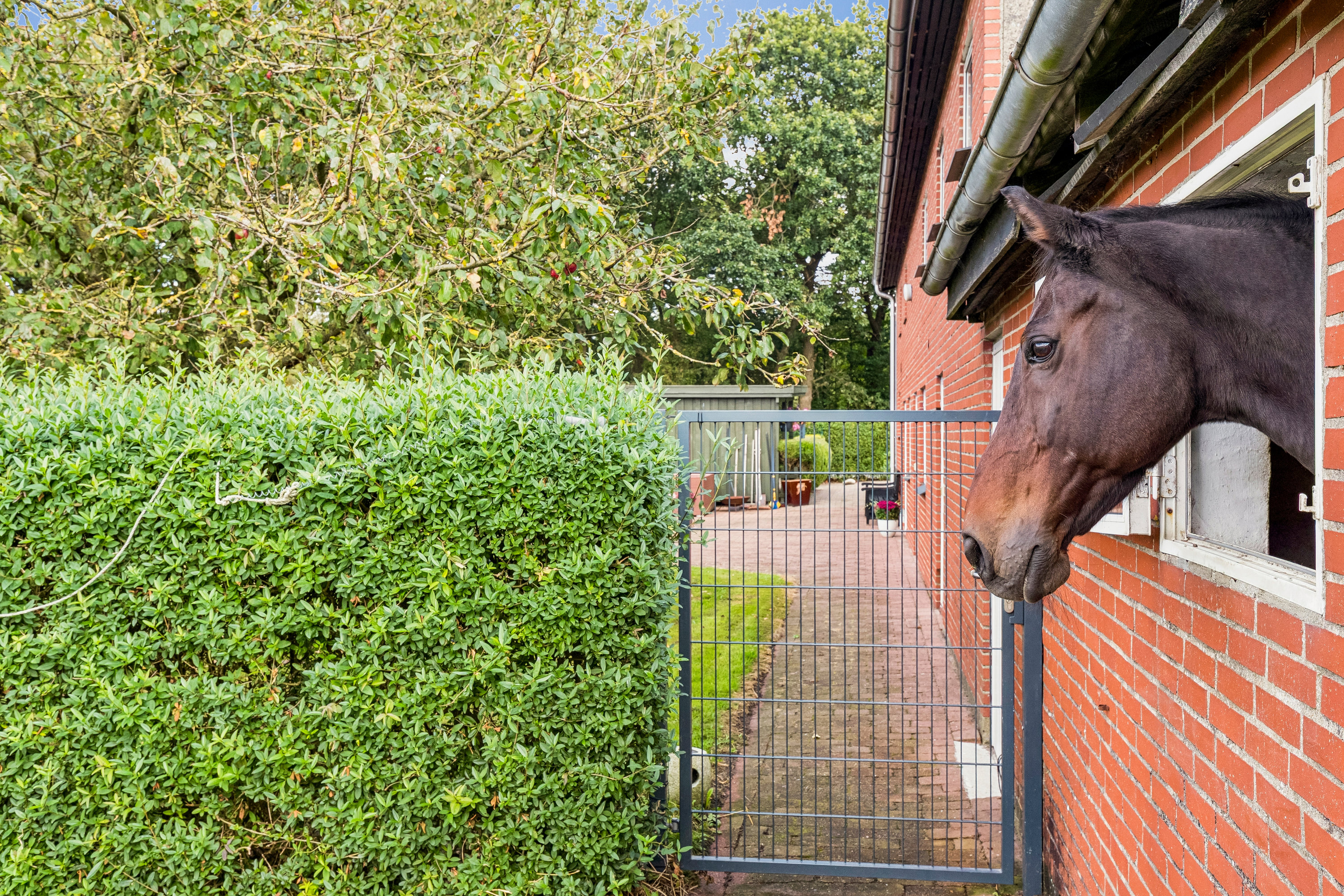 Fremhævet ejendom 1 billede i fuldskærmstilstand. Billede af Tørvevej 34, Sdr Farup M, 6760 Ribe