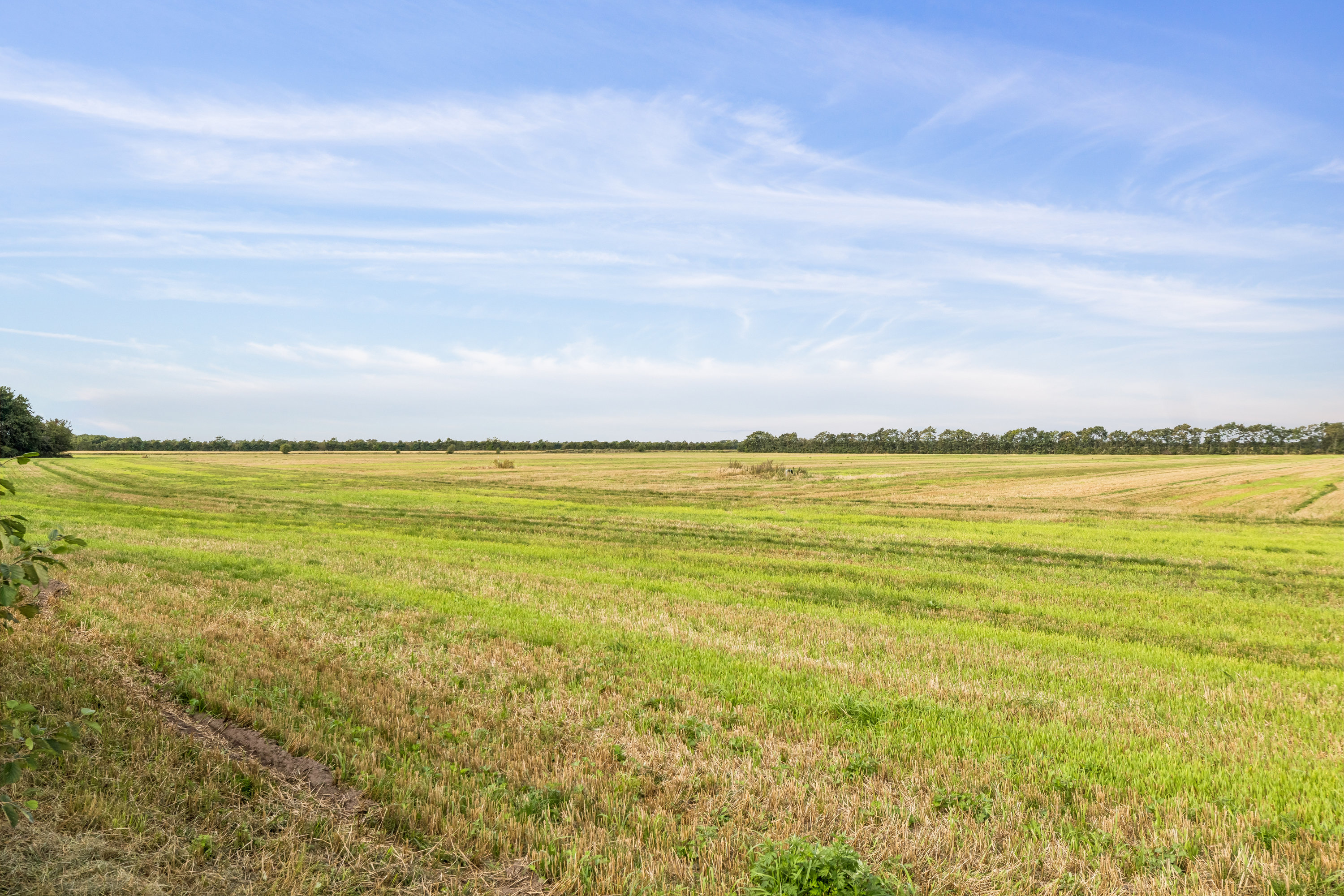 Fremhævet udsigt billede i fuldskærmstilstand. Billede af Tanderup Digevej 10, Kærbøl, 6760 Ribe