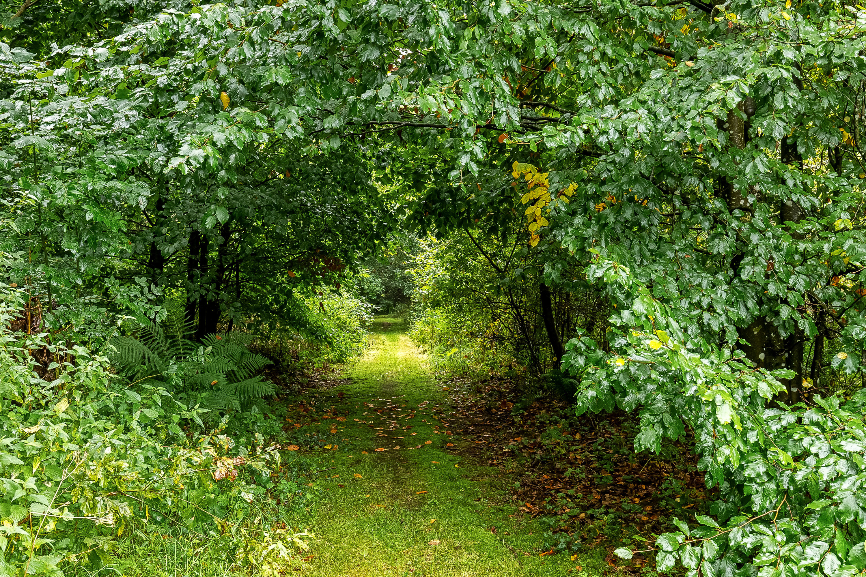 Fremhævet område billede i fuldskærmstilstand. Billede af Koldingvej 86, Vester Nebel, 6040 Egtved