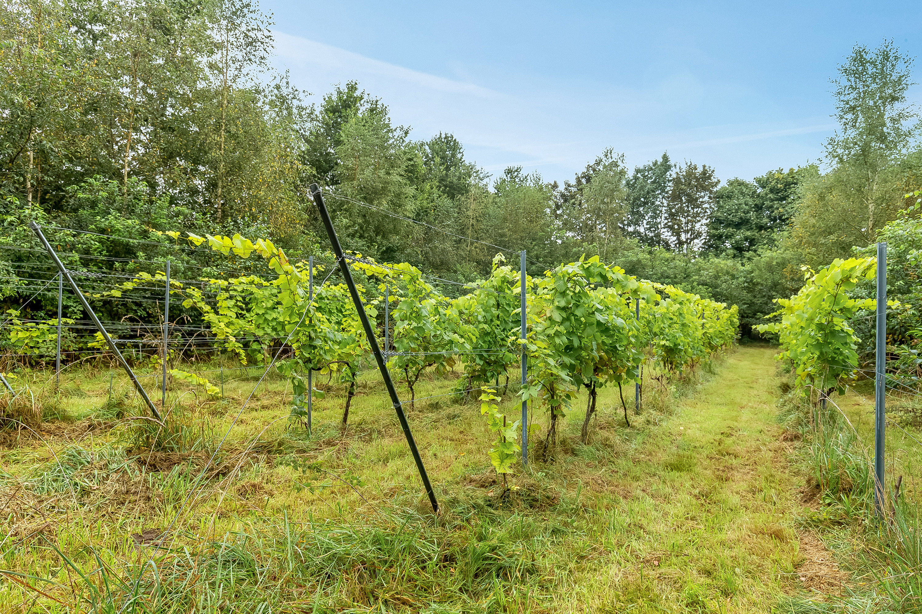 Fremhævet område billede i fuldskærmstilstand. Billede af Koldingvej 86, Vester Nebel, 6040 Egtved