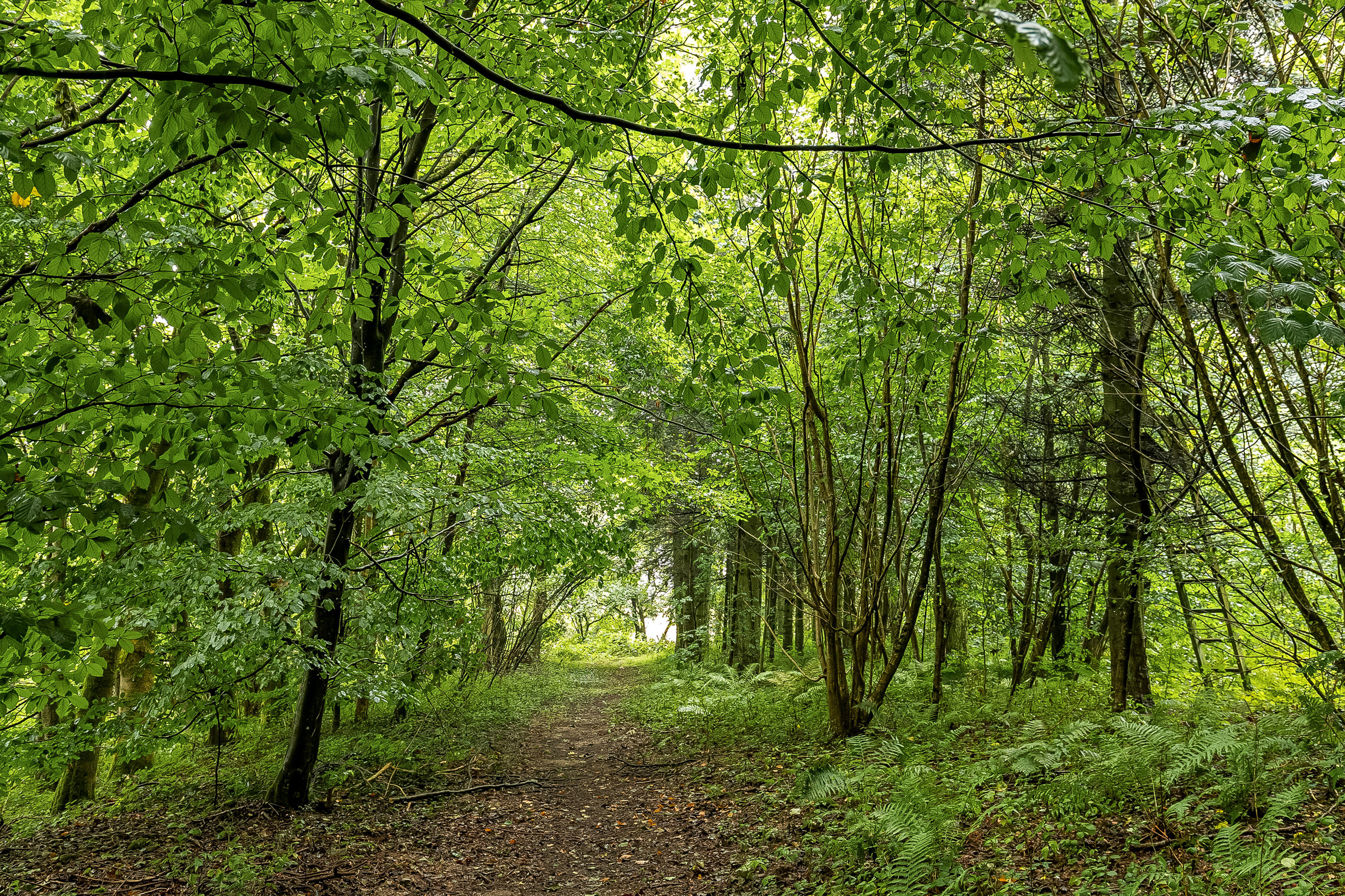 Fremhævet område billede i fuldskærmstilstand. Billede af Koldingvej 86, Vester Nebel, 6040 Egtved