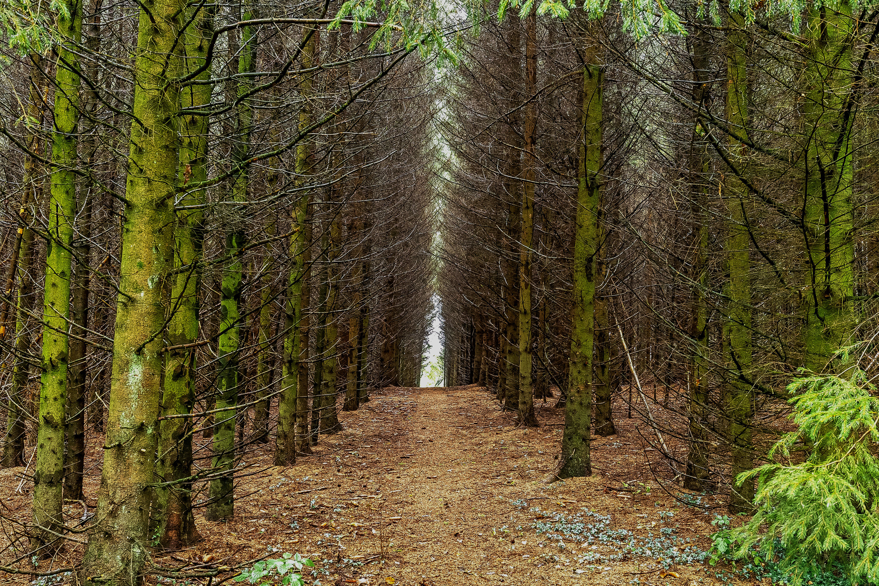 Fremhævet område billede i fuldskærmstilstand. Billede af Koldingvej 86, Vester Nebel, 6040 Egtved