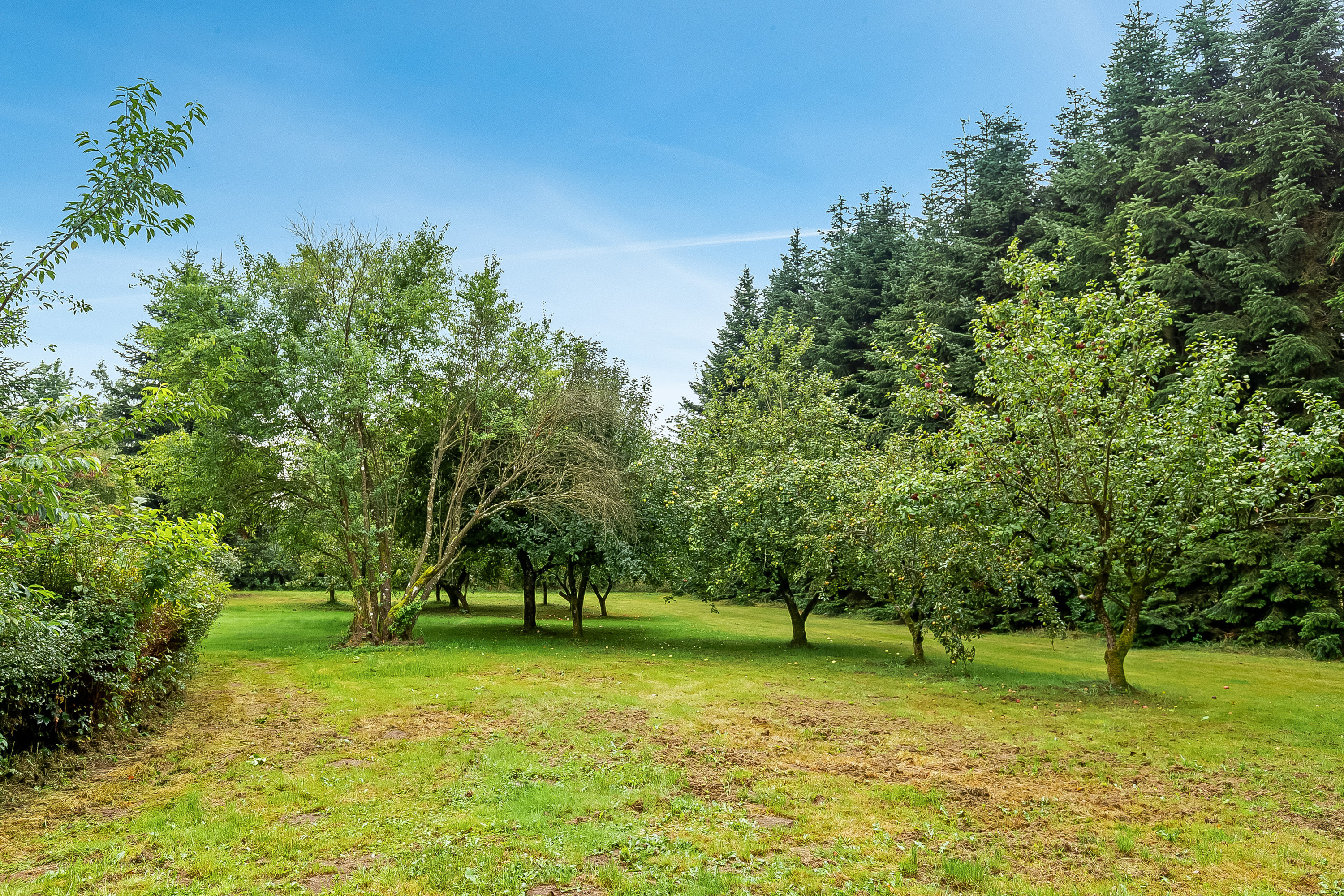 Fremhævet have billede i fuldskærmstilstand. Billede af Koldingvej 86, Vester Nebel, 6040 Egtved
