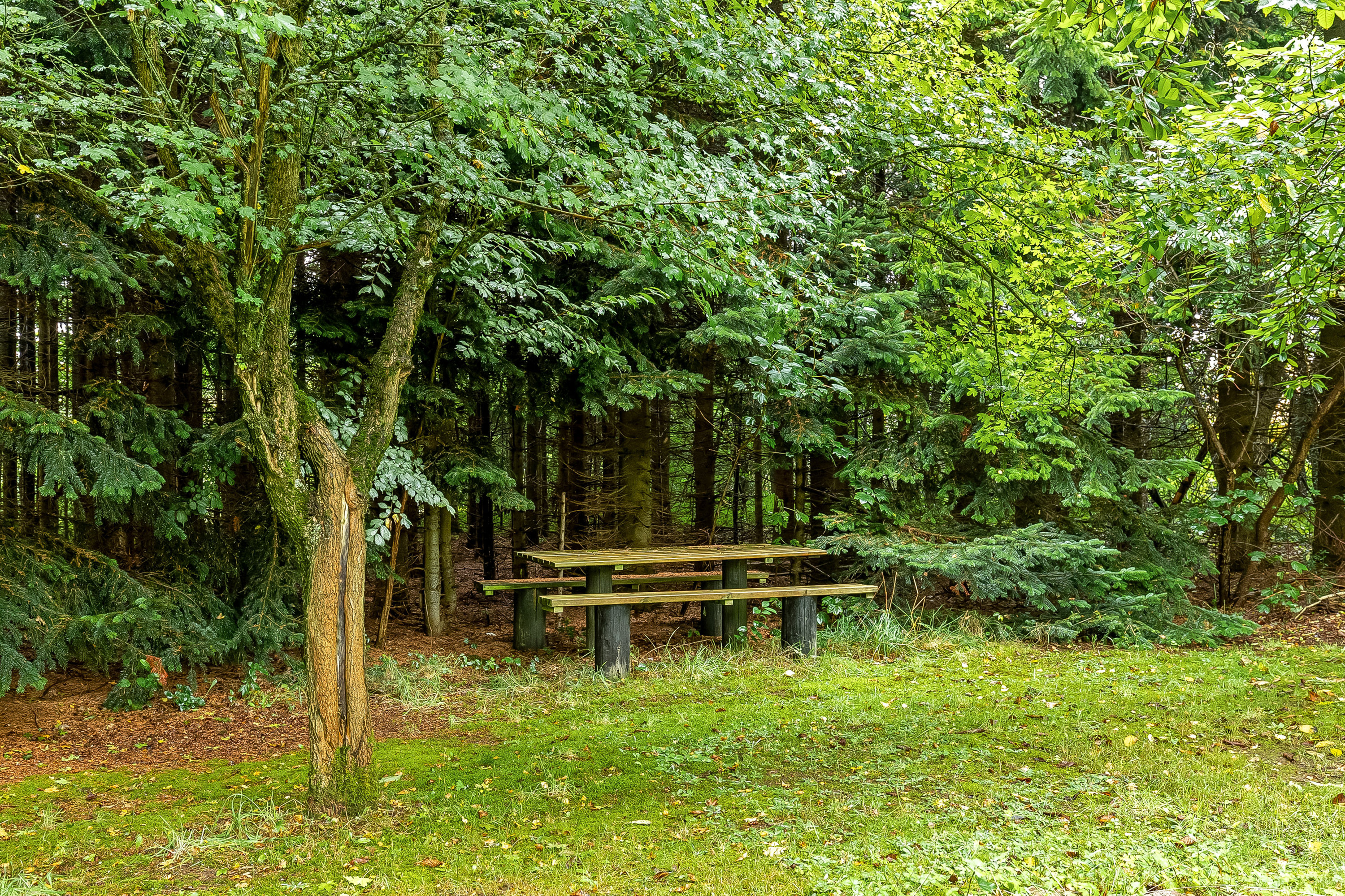 Fremhævet have billede i fuldskærmstilstand. Billede af Koldingvej 86, Vester Nebel, 6040 Egtved