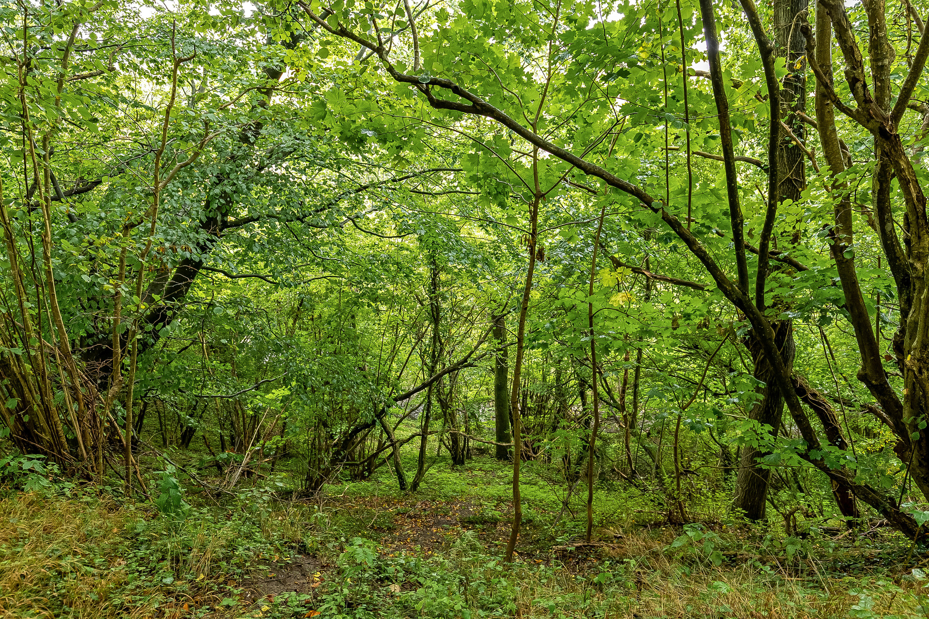 Fremhævet område billede i fuldskærmstilstand. Billede af Koldingvej 86, Vester Nebel, 6040 Egtved