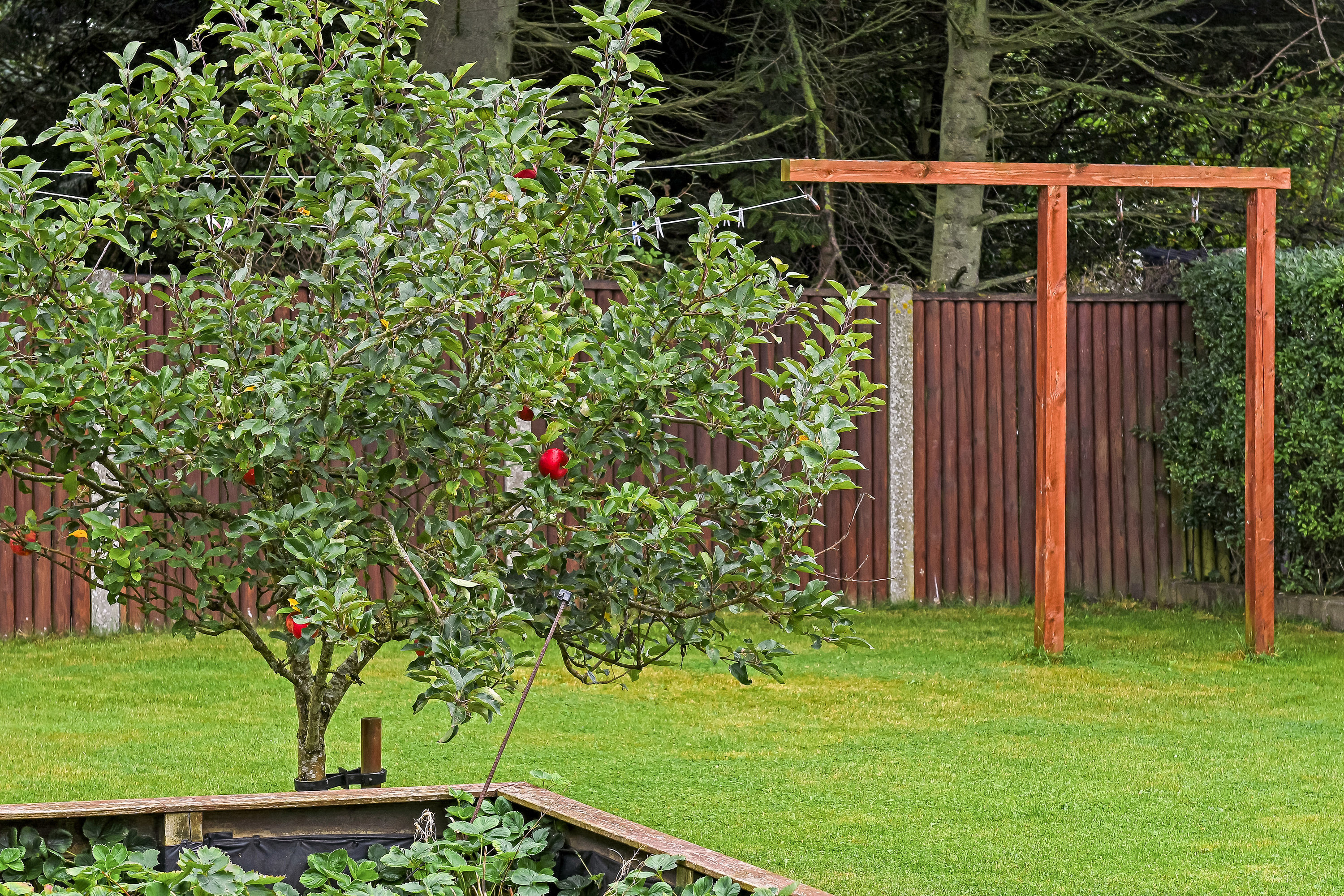 Fremhævet have billede i fuldskærmstilstand. Billede af Grønvangsvej 31, 6700 Esbjerg