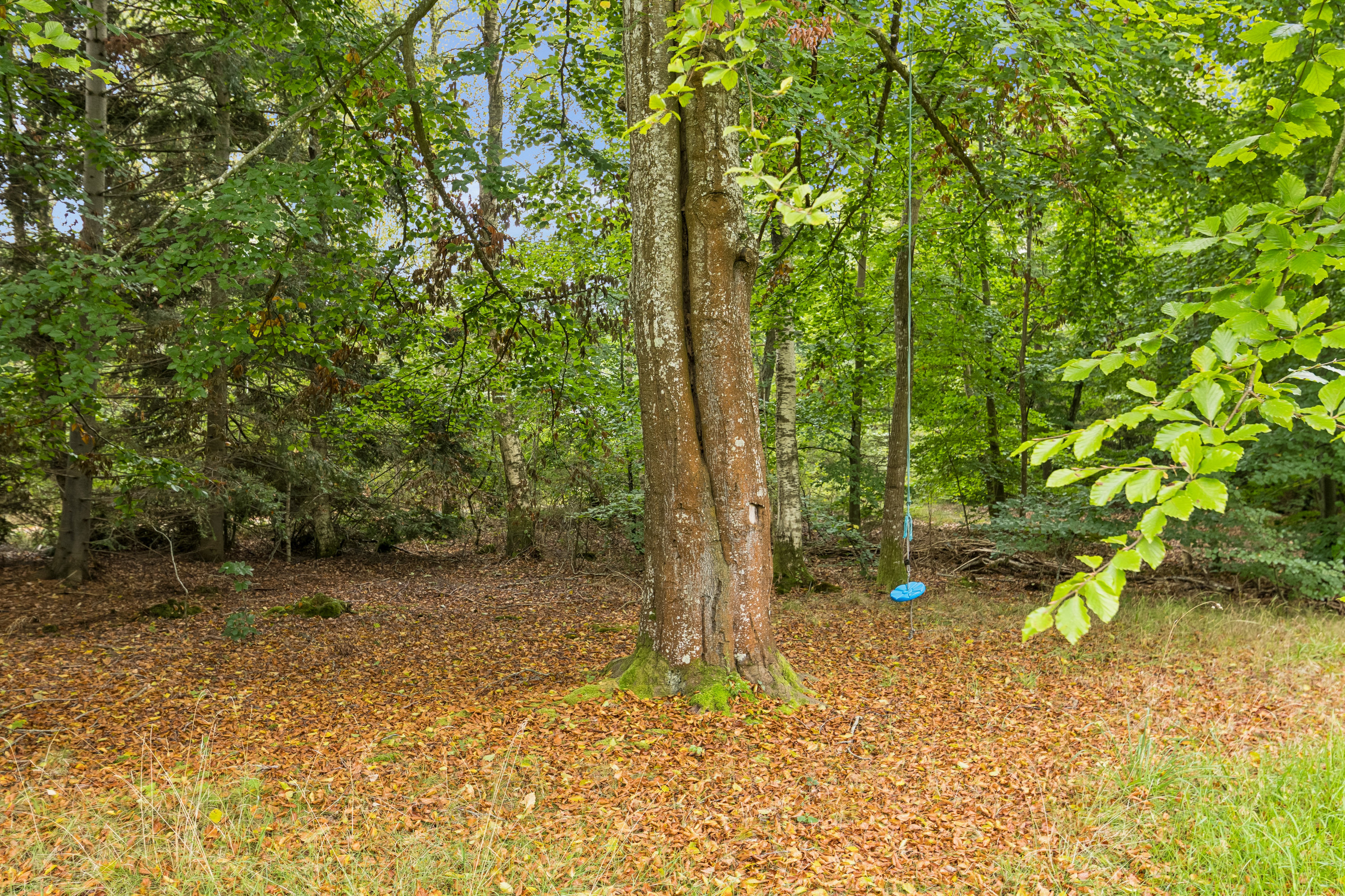 Fremhævet  billede i fuldskærmstilstand. Billede af Vidjeparken 138, Helberskov, 9560 Hadsund