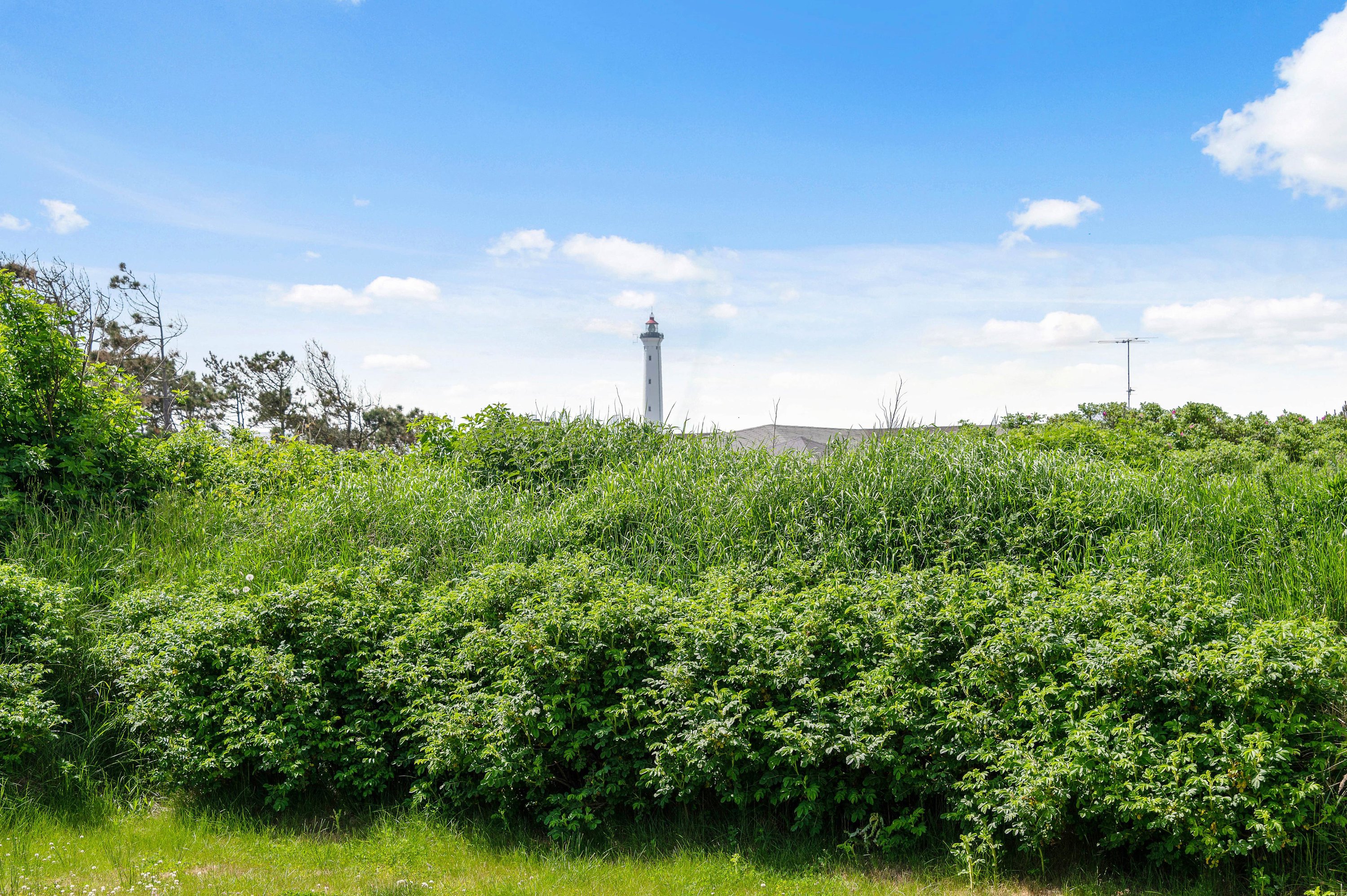 Miniaturebillede 2: . Billede af Fyrmarken 179, Nr Lyngvig, 6960 Hvide Sande