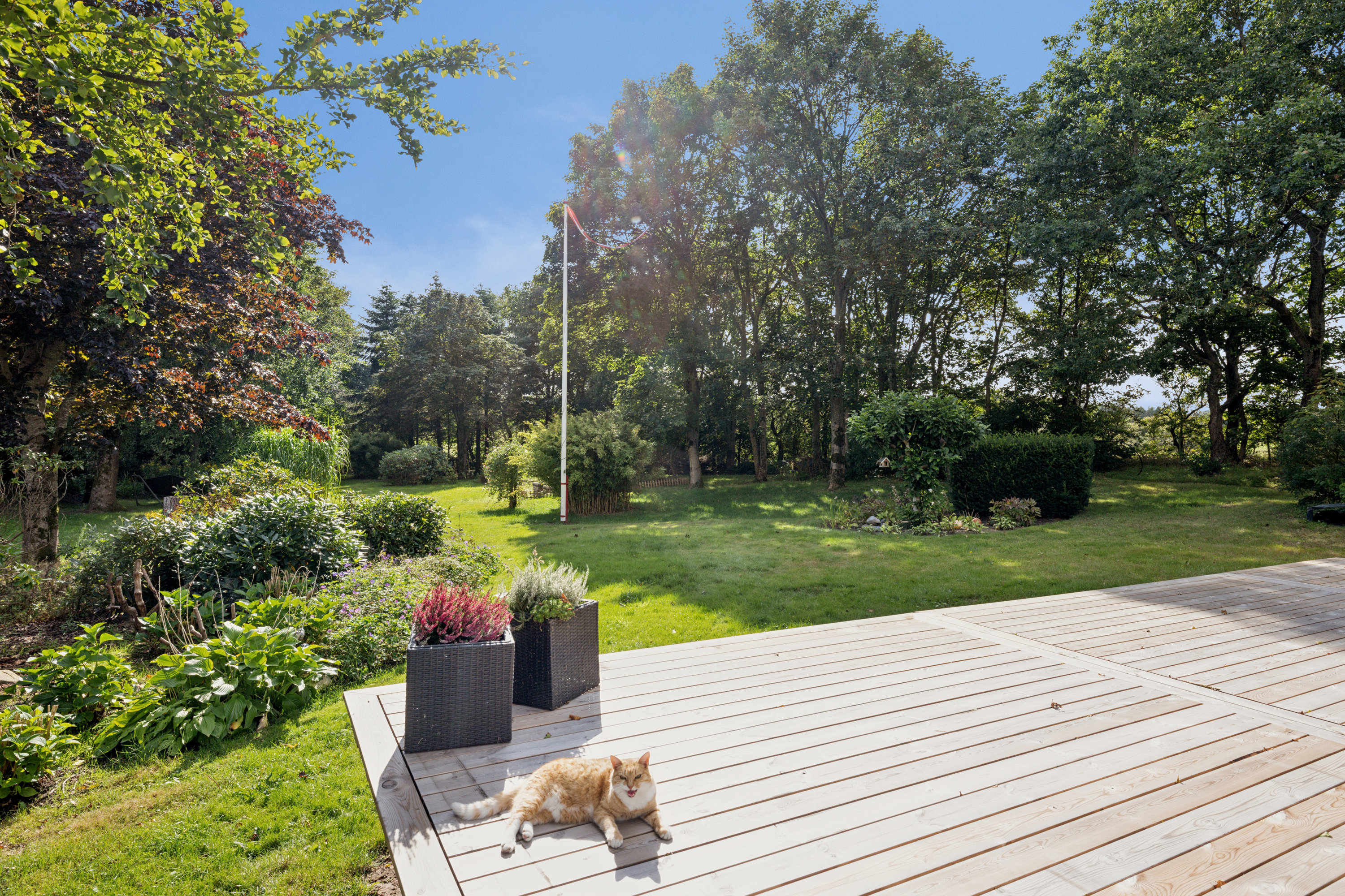 Fremhævet terrasse billede i fuldskærmstilstand. Billede af Nr. Søbyvej 1, Grønkær, 7850 Stoholm Jyll