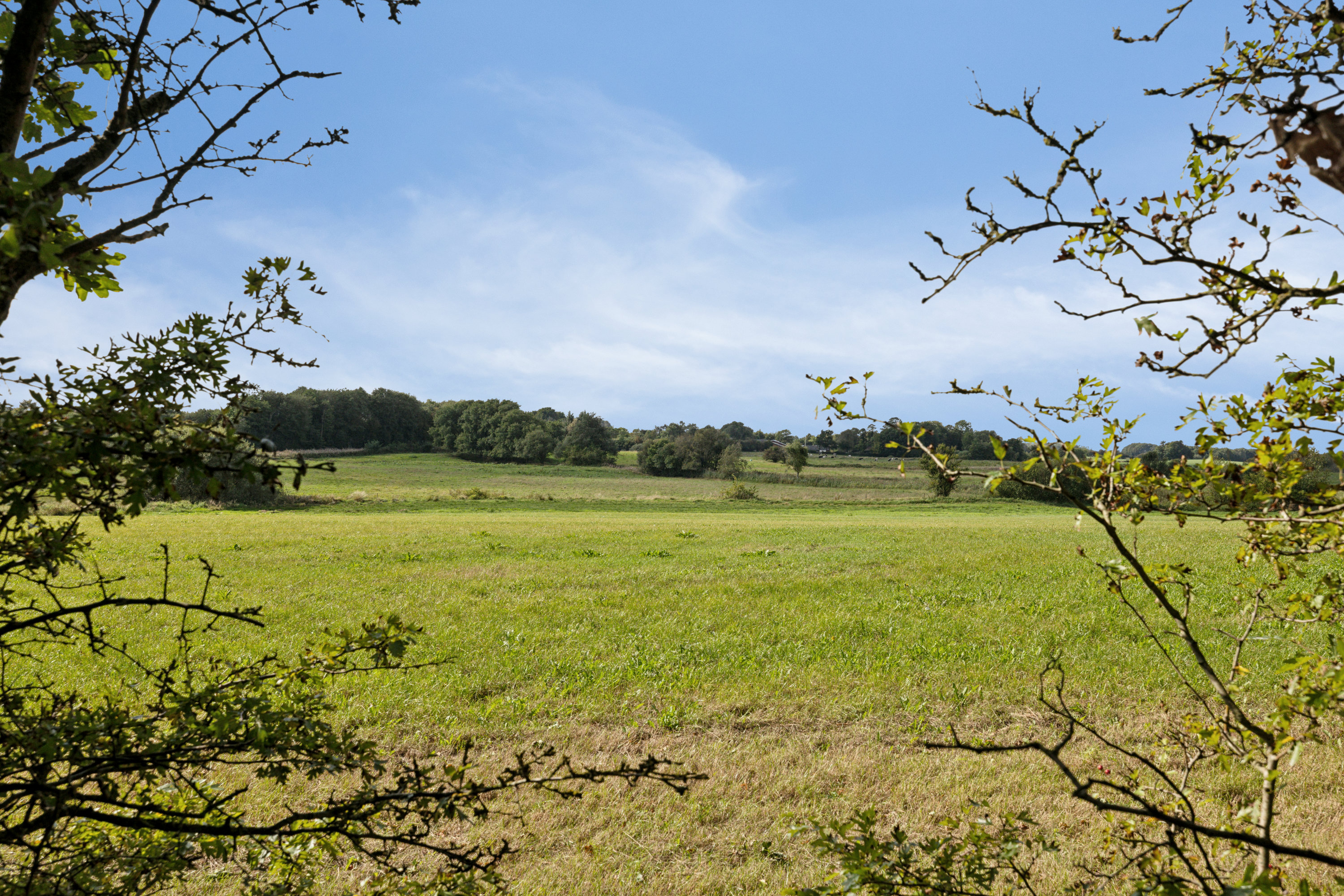 Fremhævet område billede i fuldskærmstilstand. Billede af Nr. Søbyvej 1, Grønkær, 7850 Stoholm Jyll
